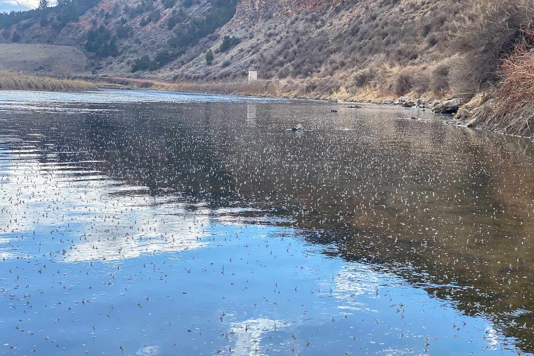 Lazy XY Ranch property picture 24 of 78