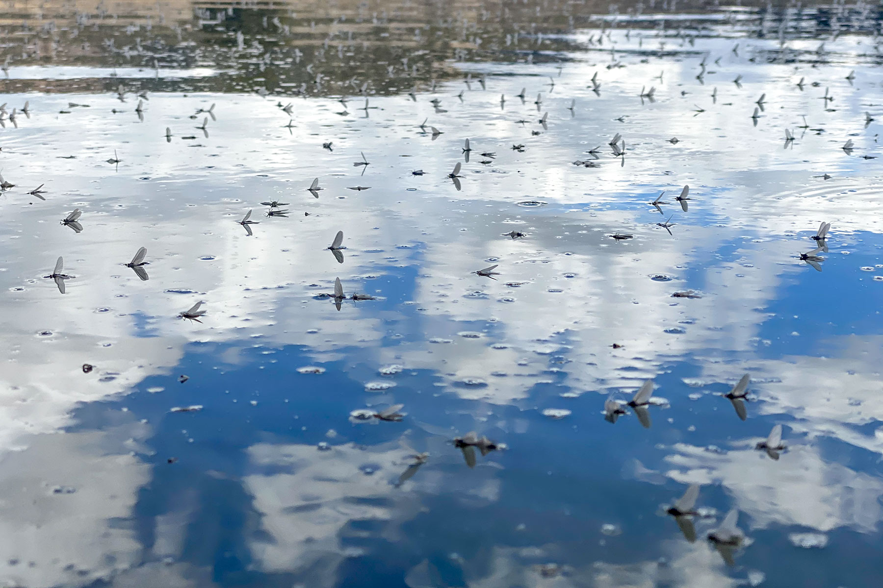 Lazy XY Ranch property picture 38 of 78