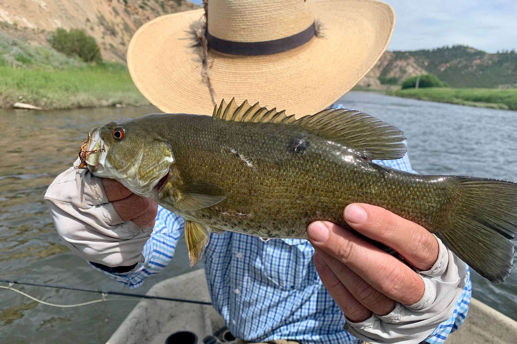 Lazy XY Ranch property picture 35 of 78