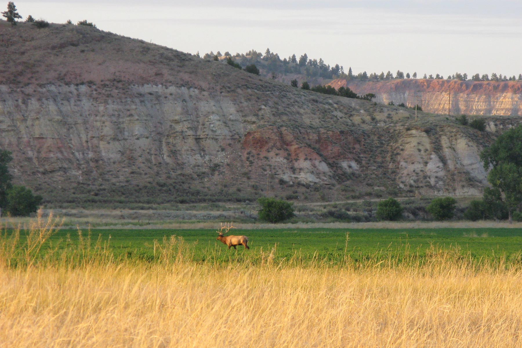 Lazy XY Ranch property picture 26 of 78
