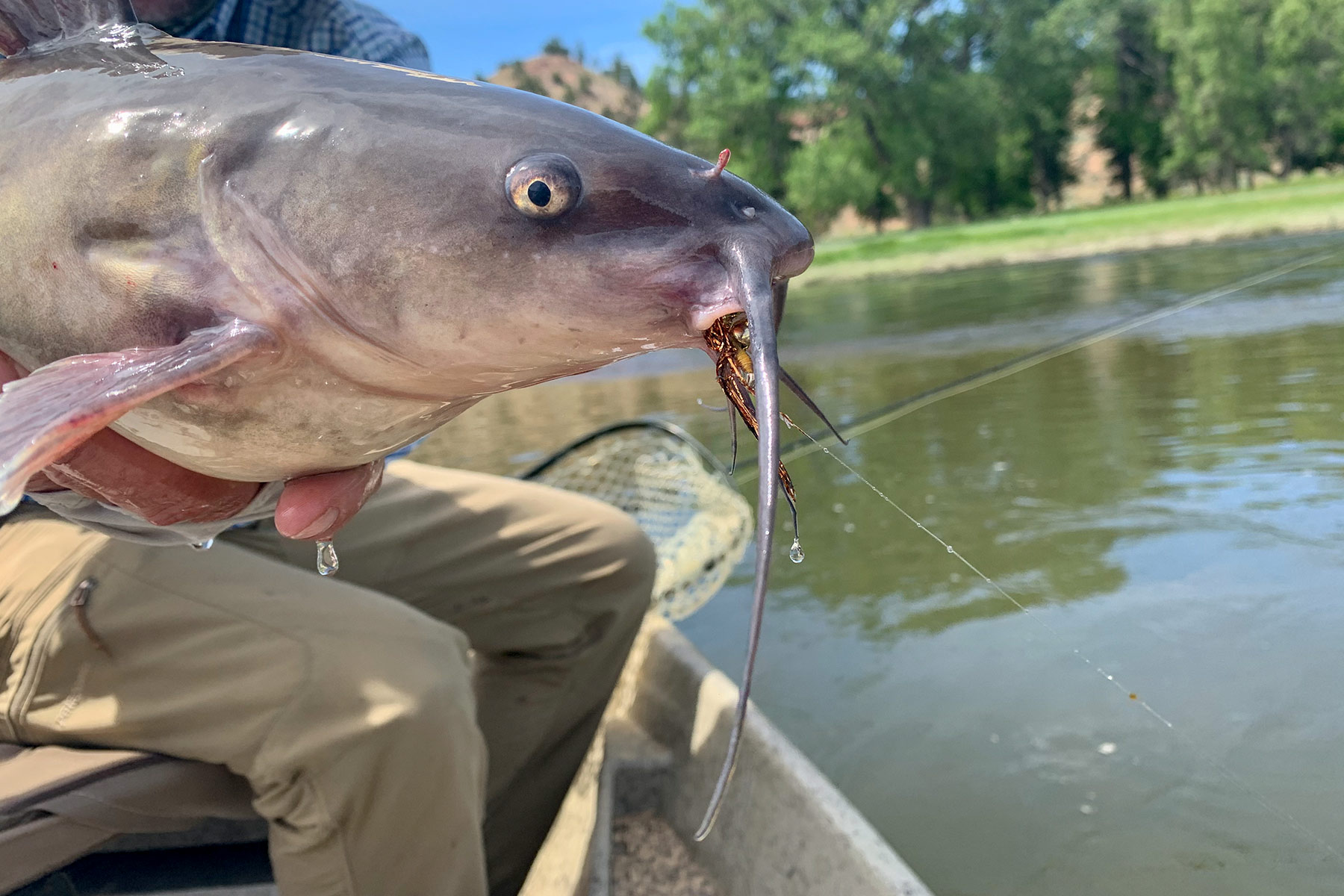 Lazy XY Ranch property picture 34 of 78