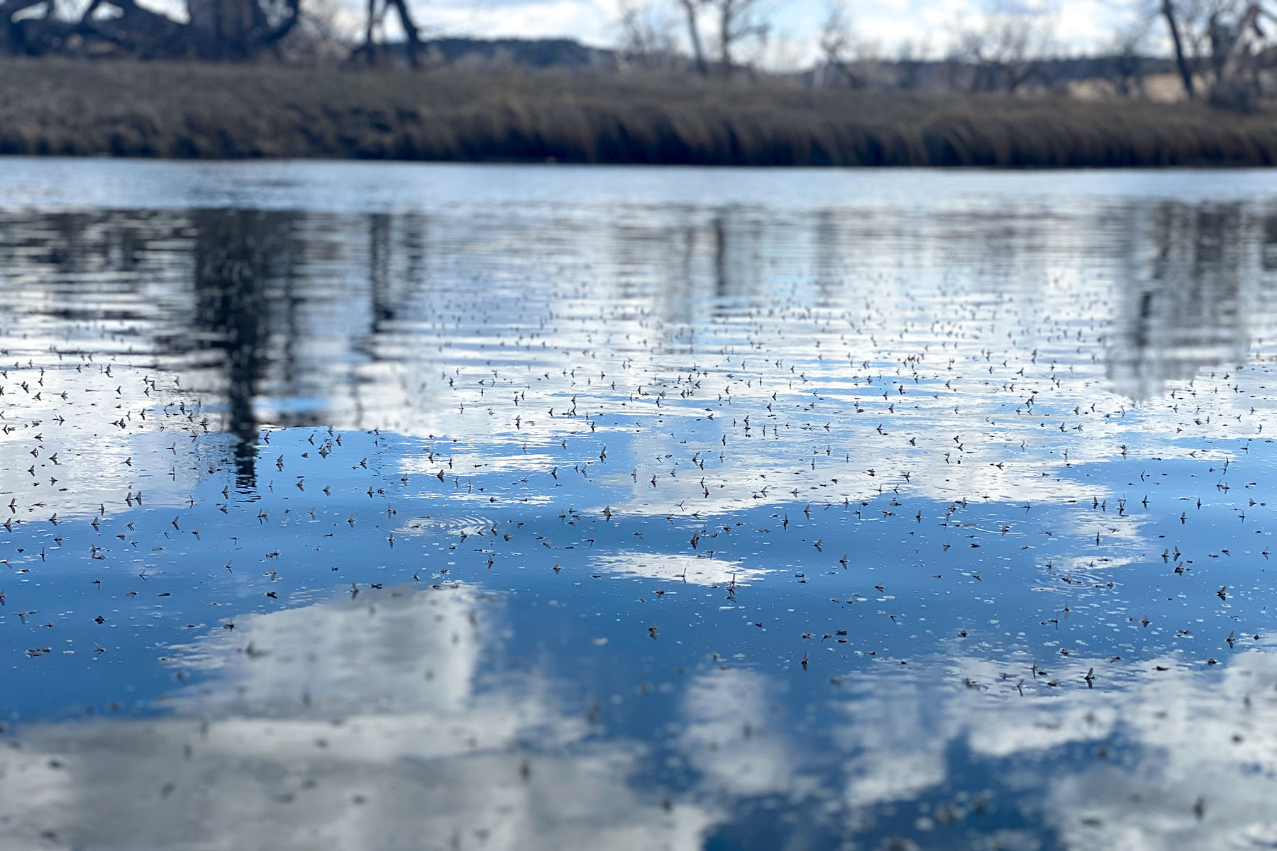 Lazy XY Ranch property picture 23 of 78