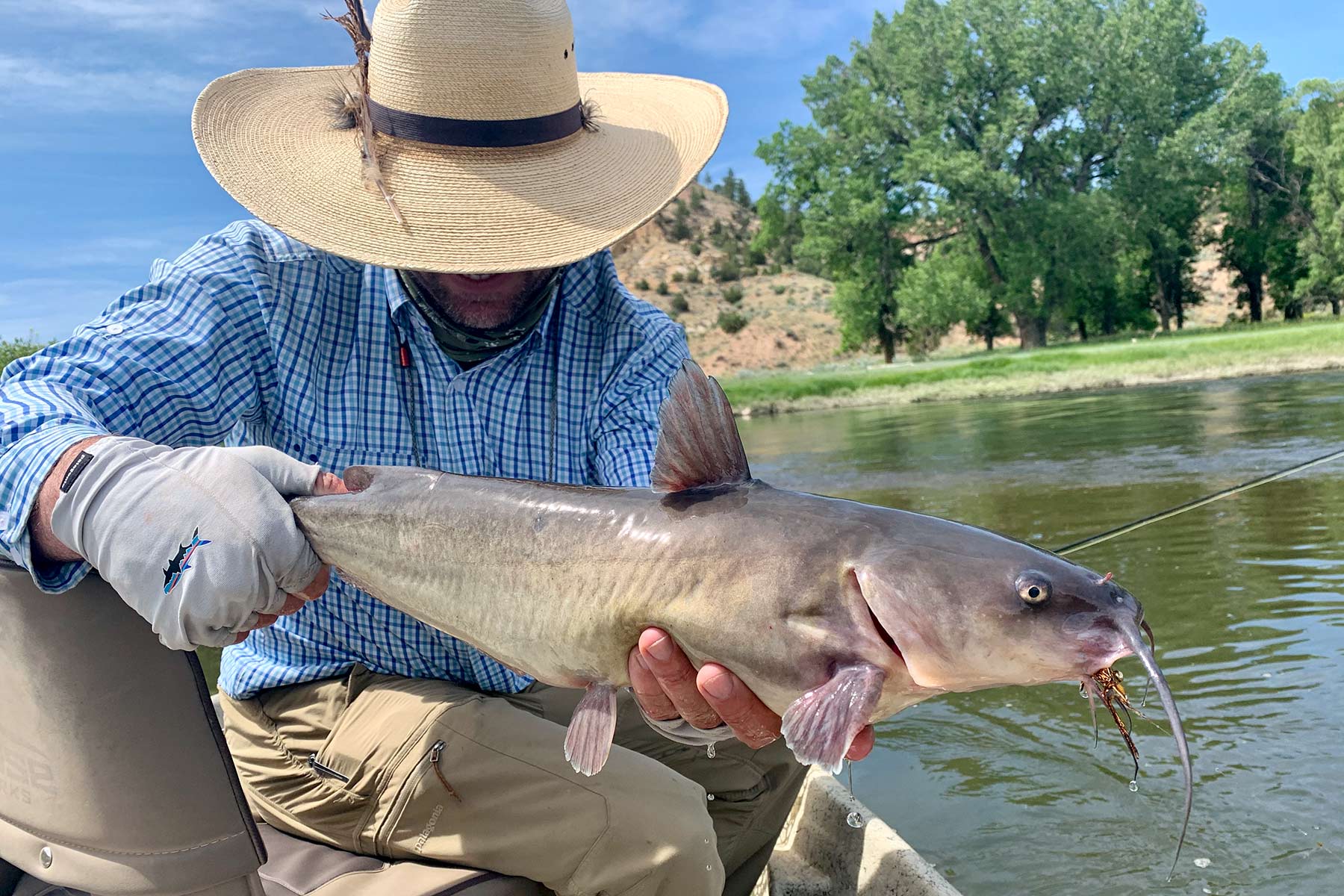 Lazy XY Ranch property picture 33 of 78