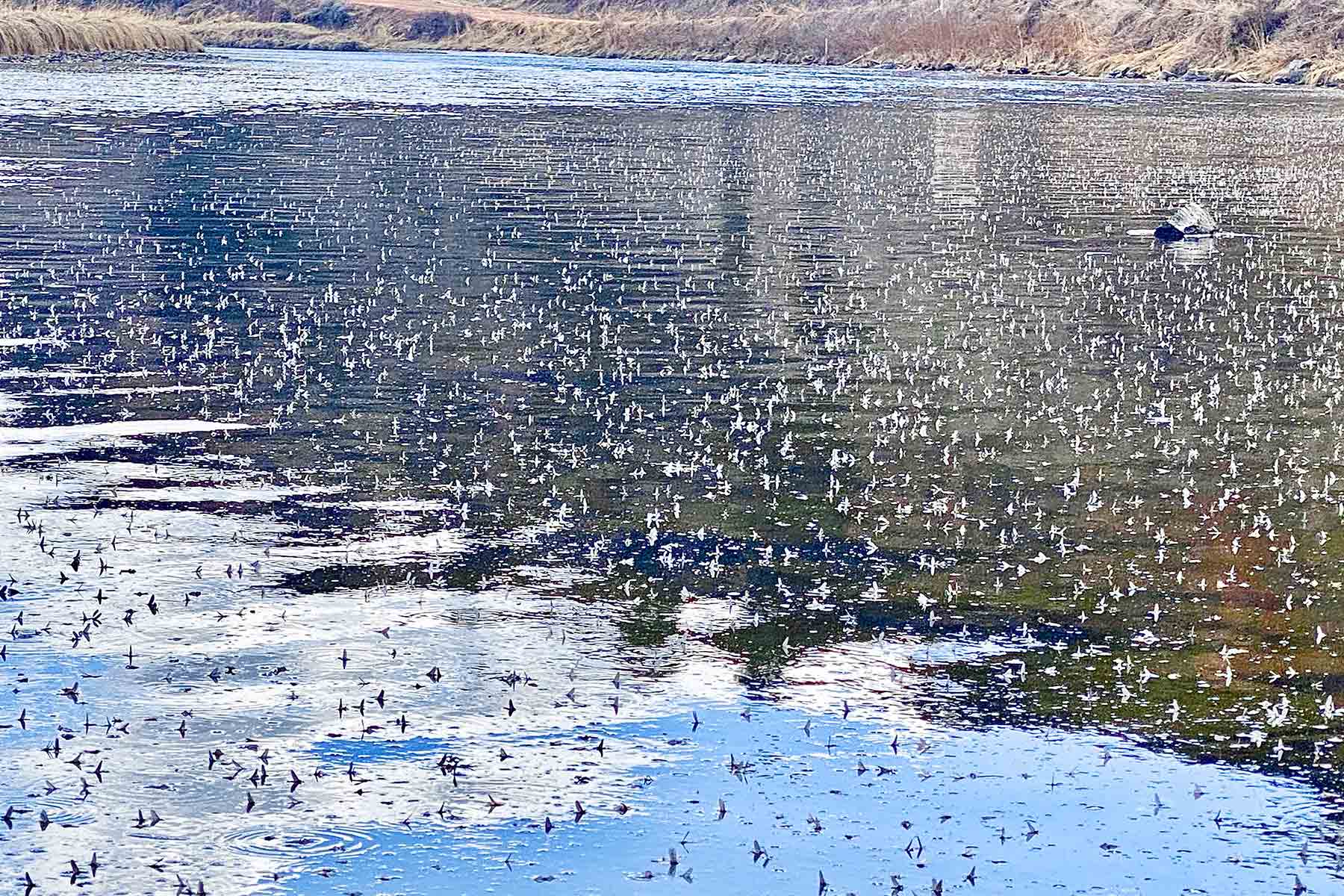 Lazy XY Ranch property picture 30 of 78