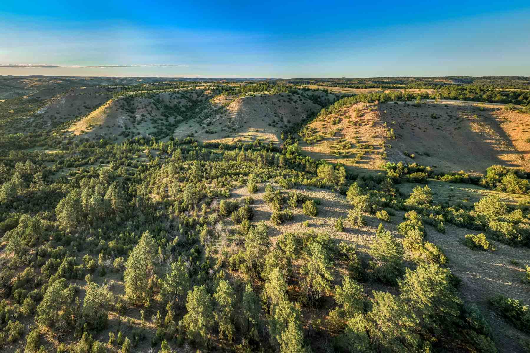 Lazy XY Ranch property picture 48 of 78