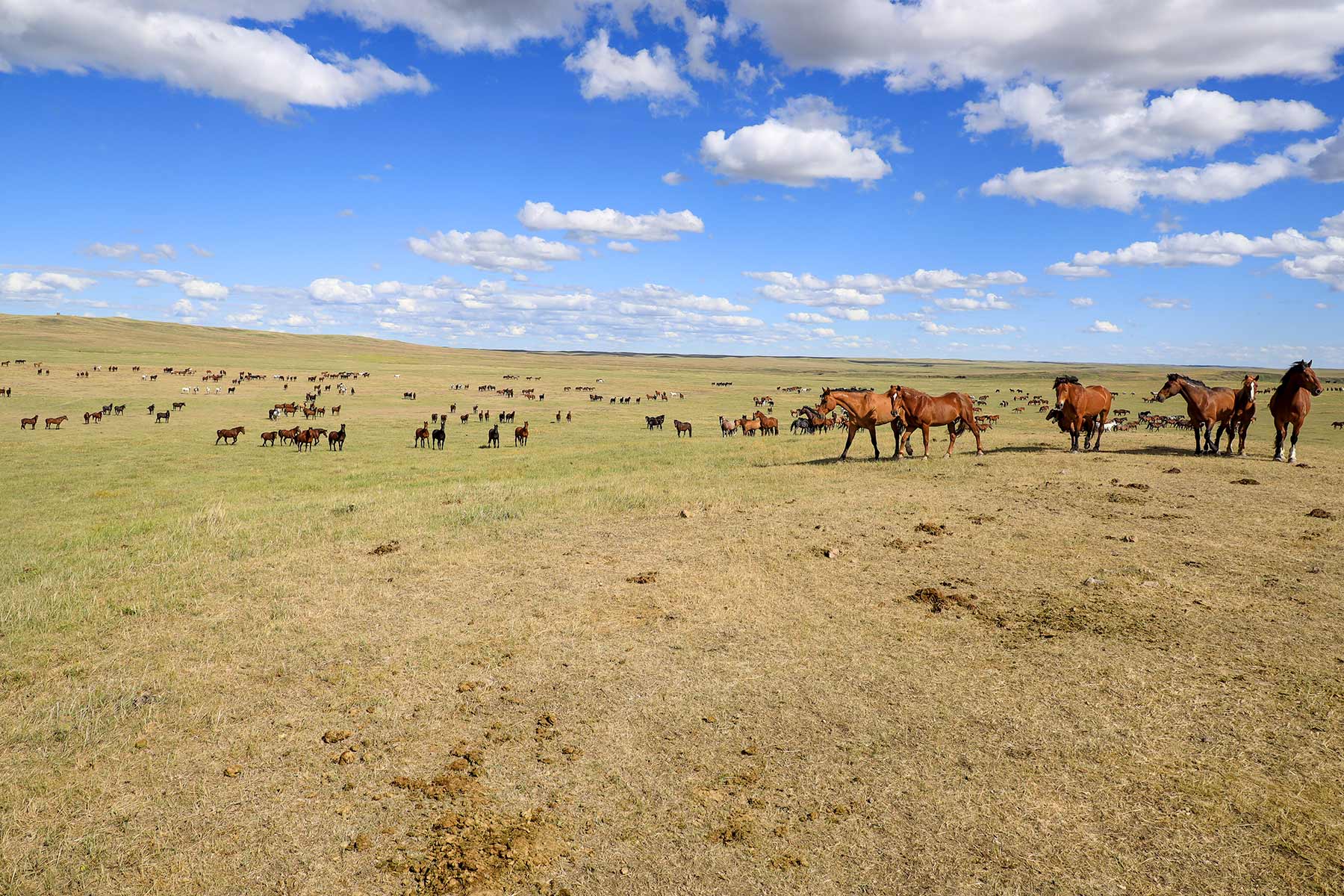 Bismarck Trail Ranch property picture 10 of 121
