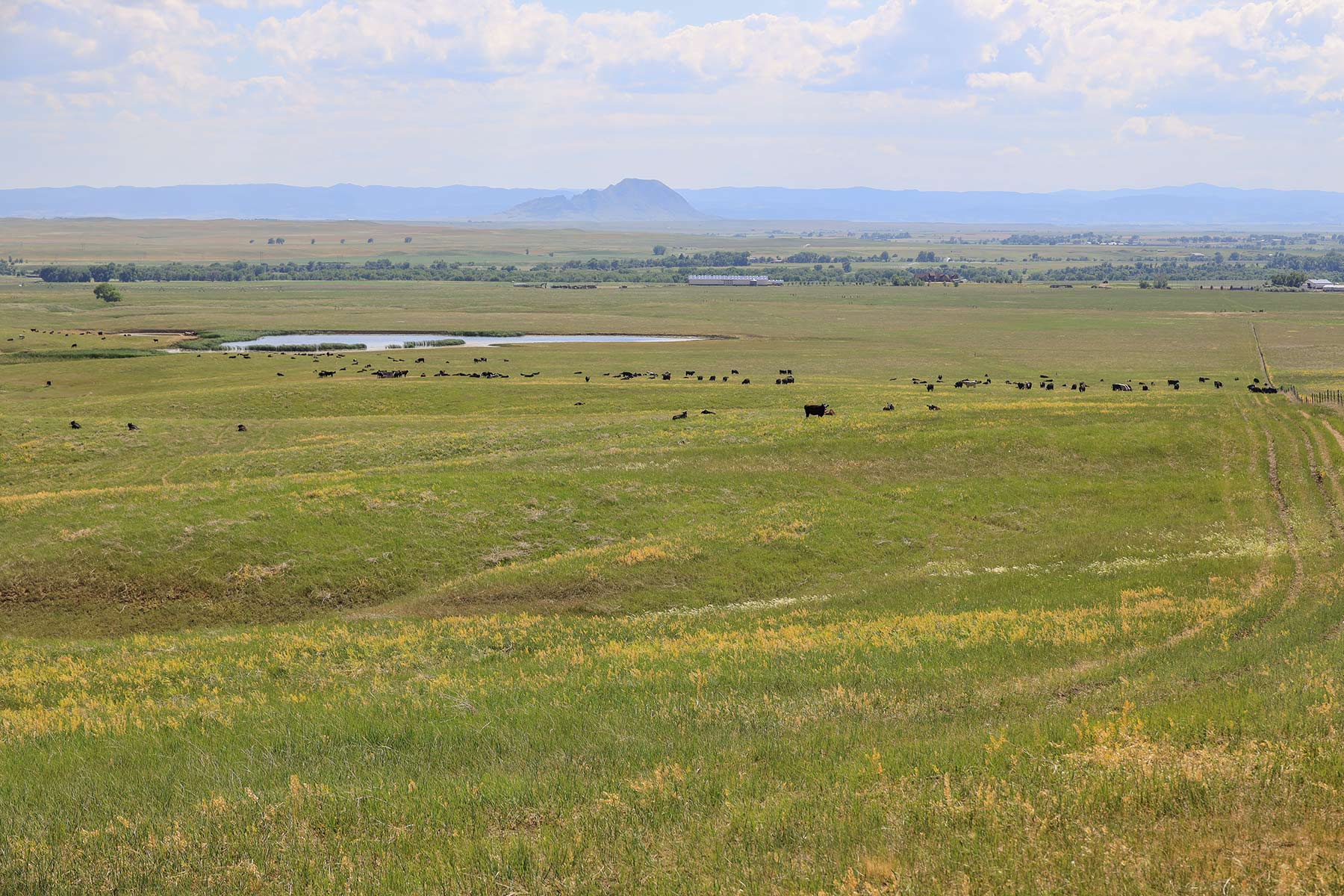 Bismarck Trail Ranch property picture 65 of 121