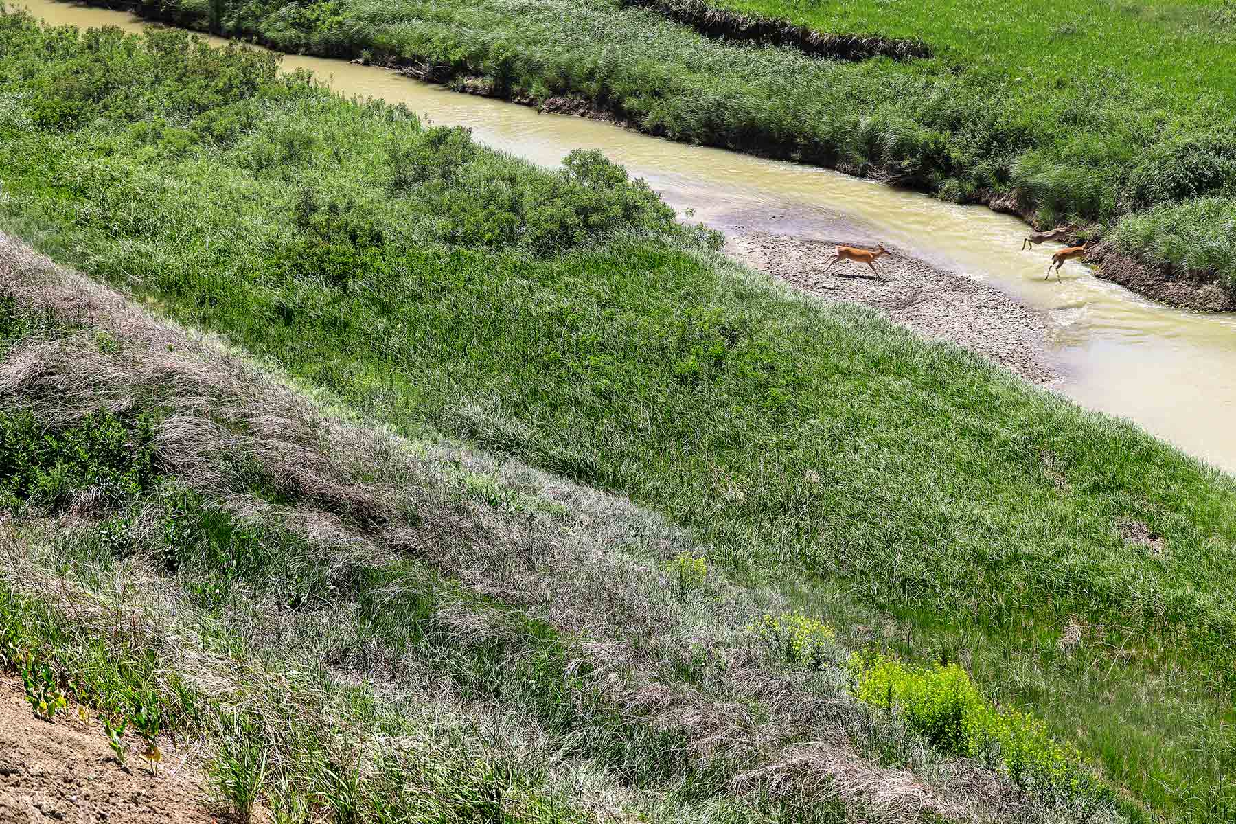 Bismarck Trail Ranch property picture 51 of 121