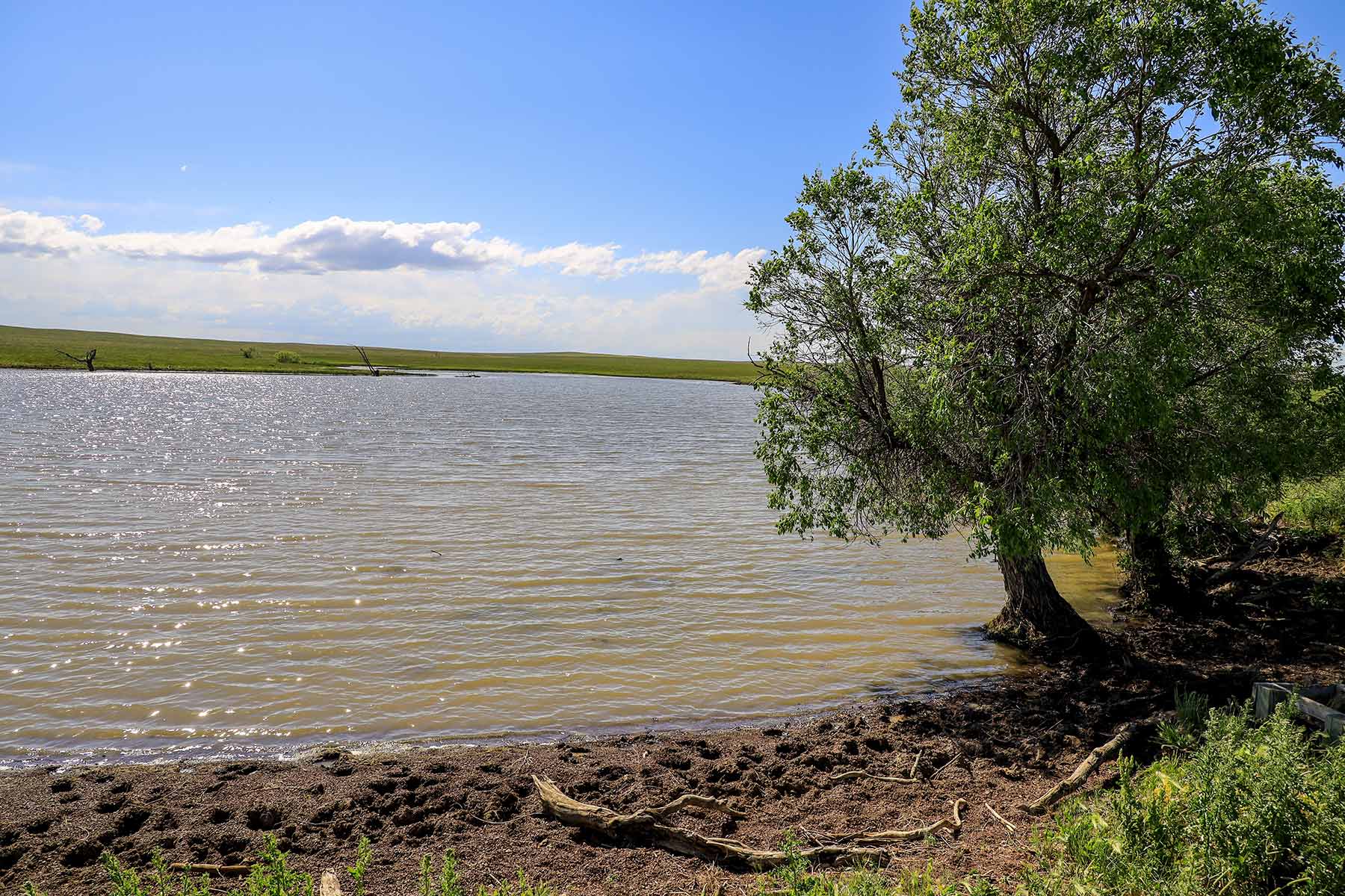 Bismarck Trail Ranch property picture 70 of 121