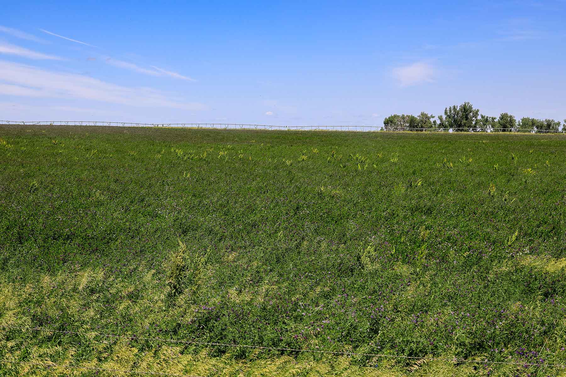 Bismarck Trail Ranch property picture 44 of 121