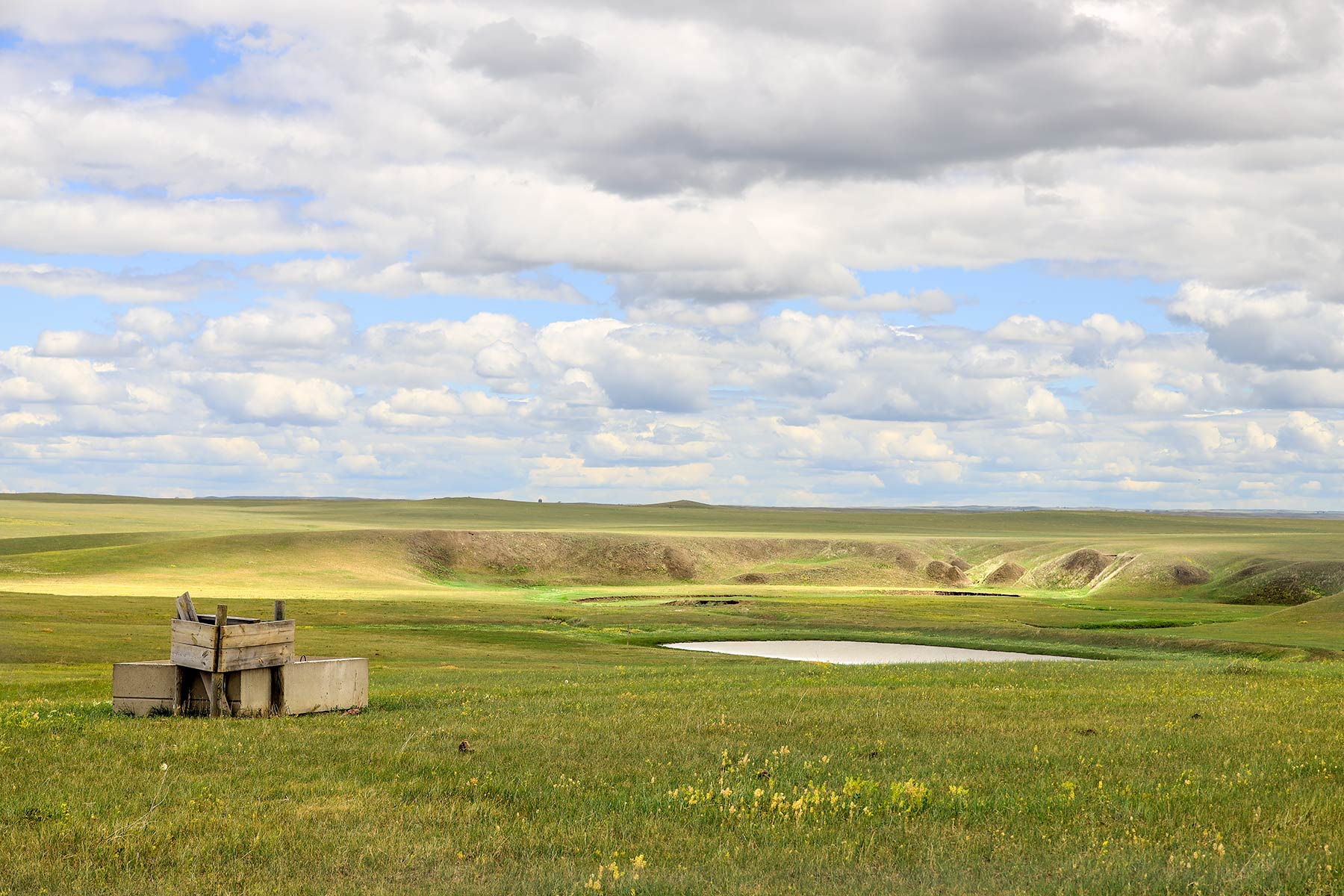Bismarck Trail Ranch property picture 102 of 121