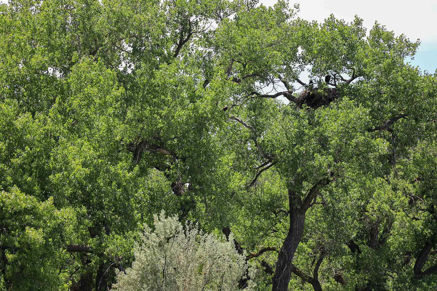 Bismarck Trail Ranch property picture 48 of 121