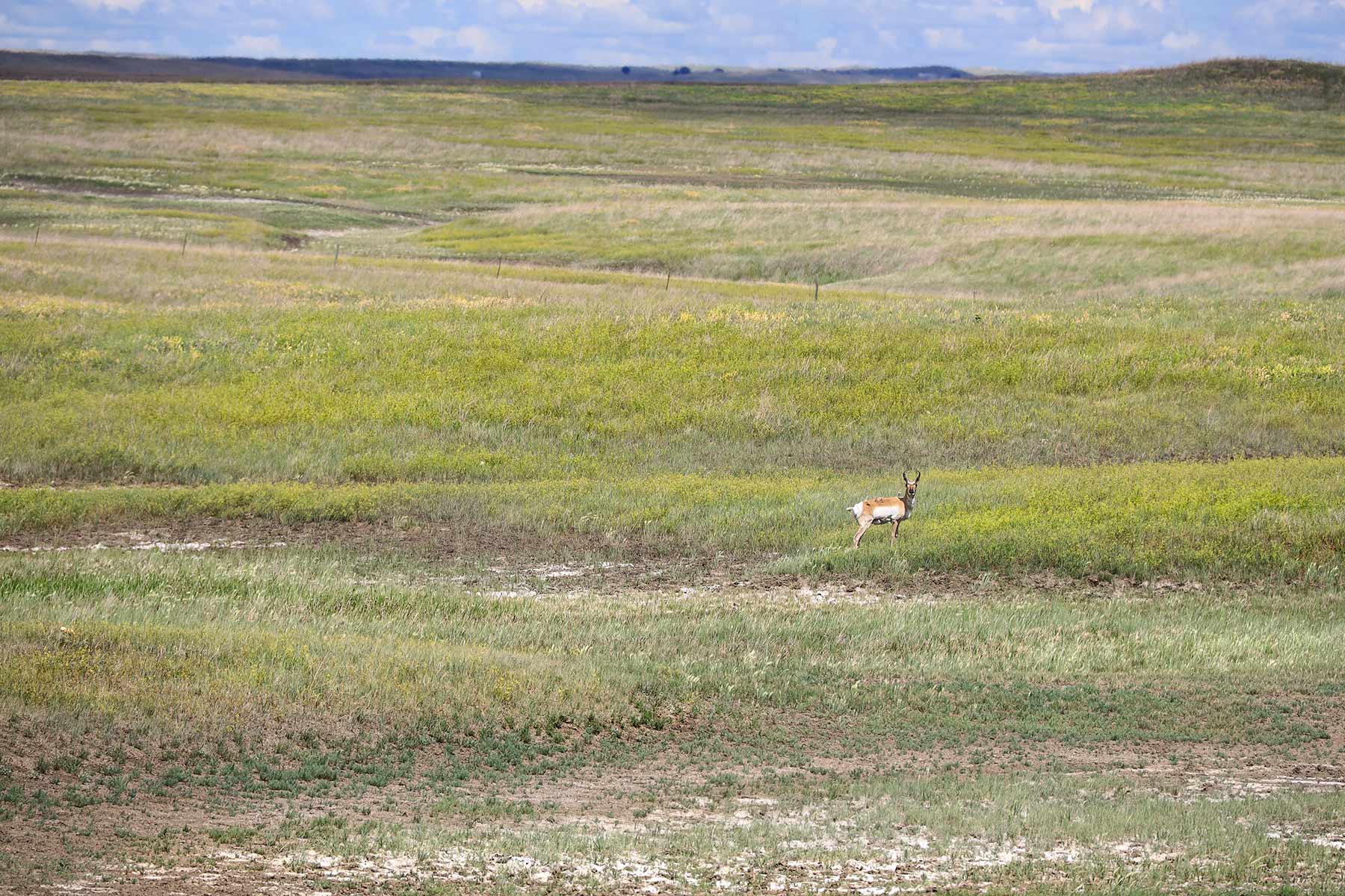 Bismarck Trail Ranch property picture 107 of 121