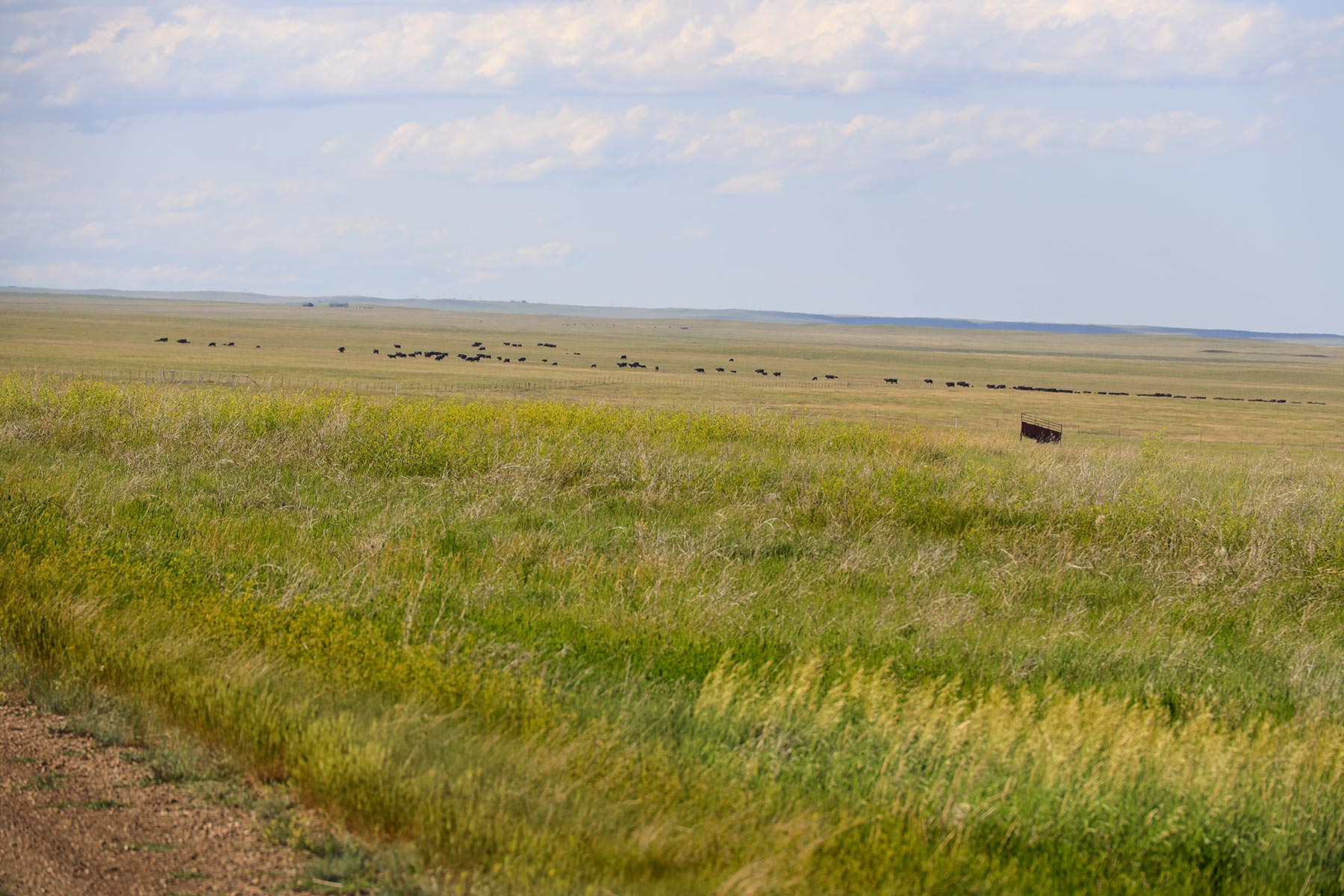 Bismarck Trail Ranch property picture 72 of 121