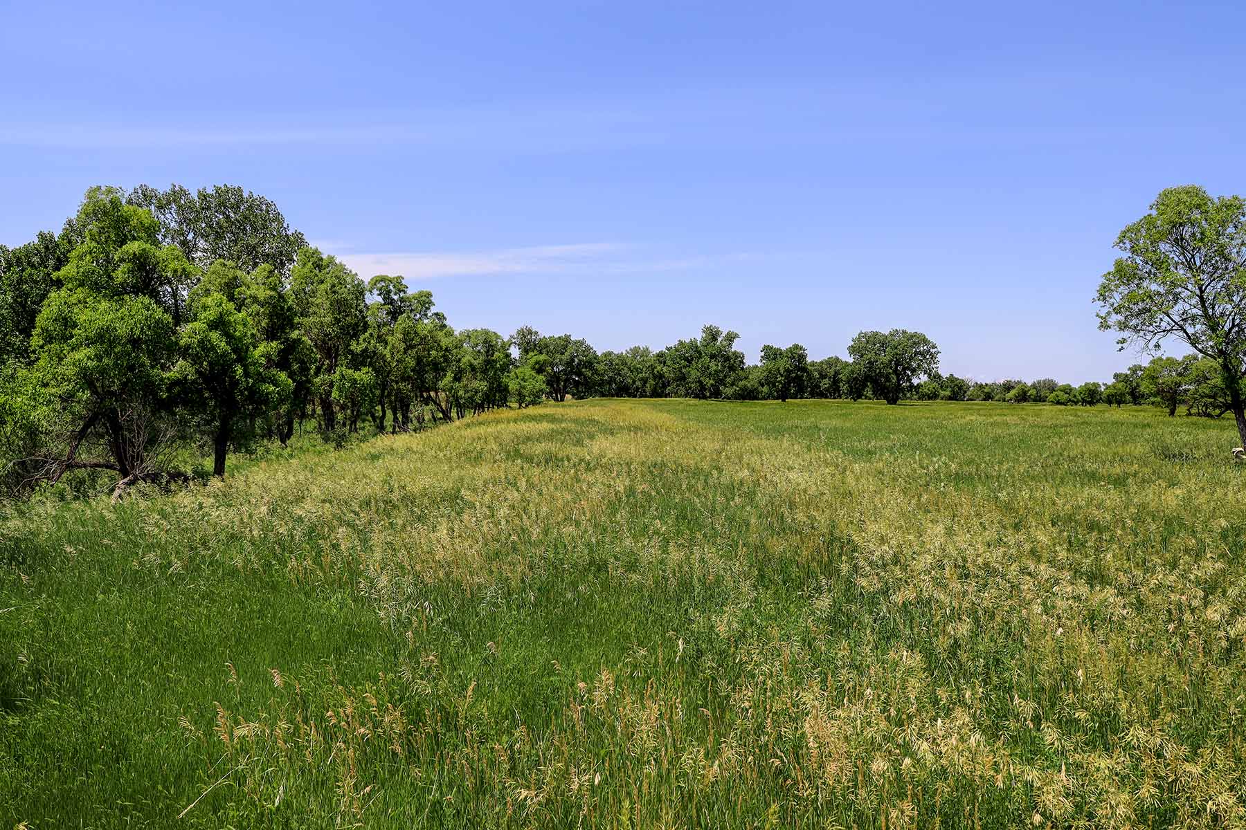 Bismarck Trail Ranch property picture 34 of 121