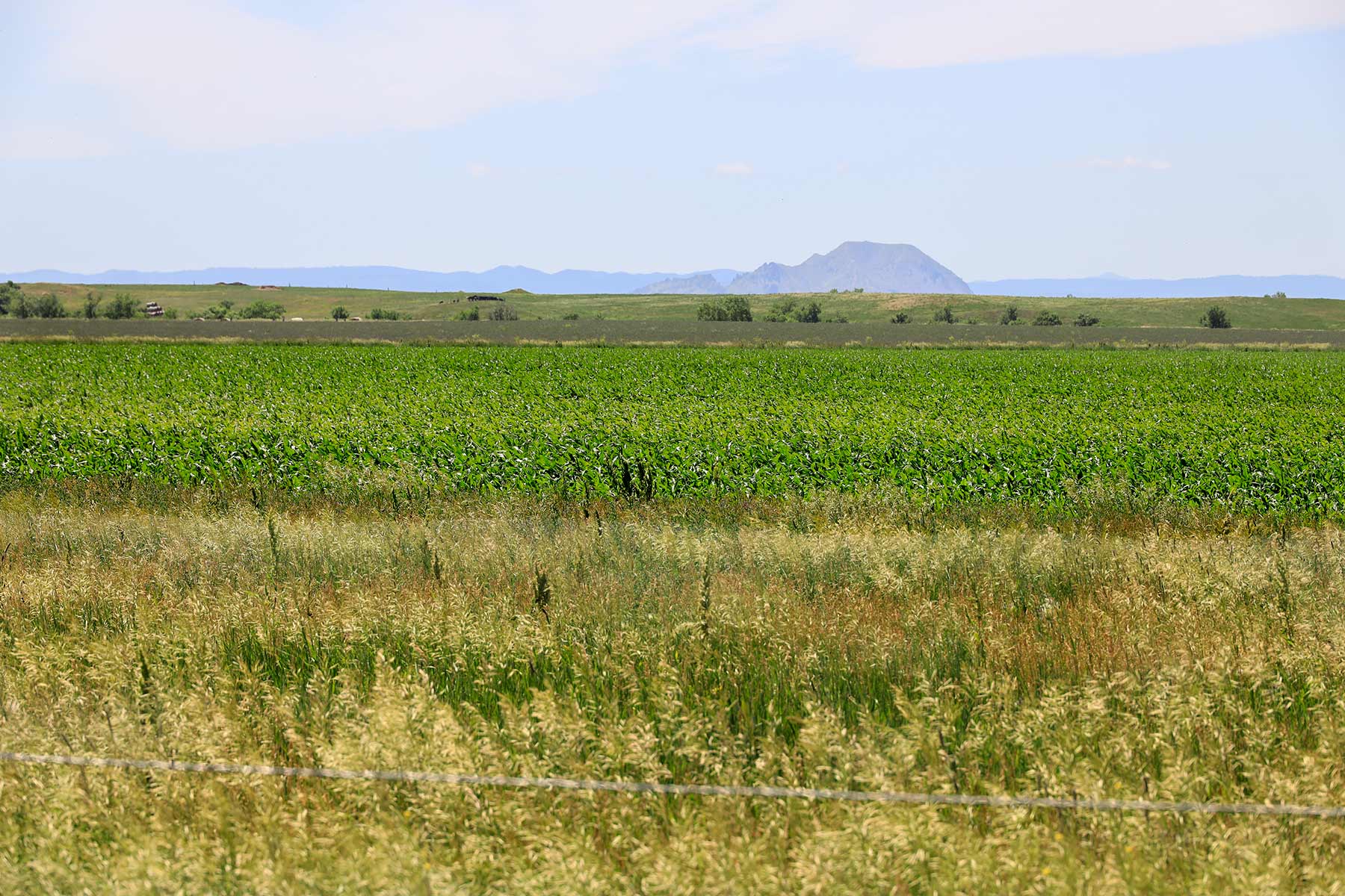 Bismarck Trail Ranch property picture 43 of 121