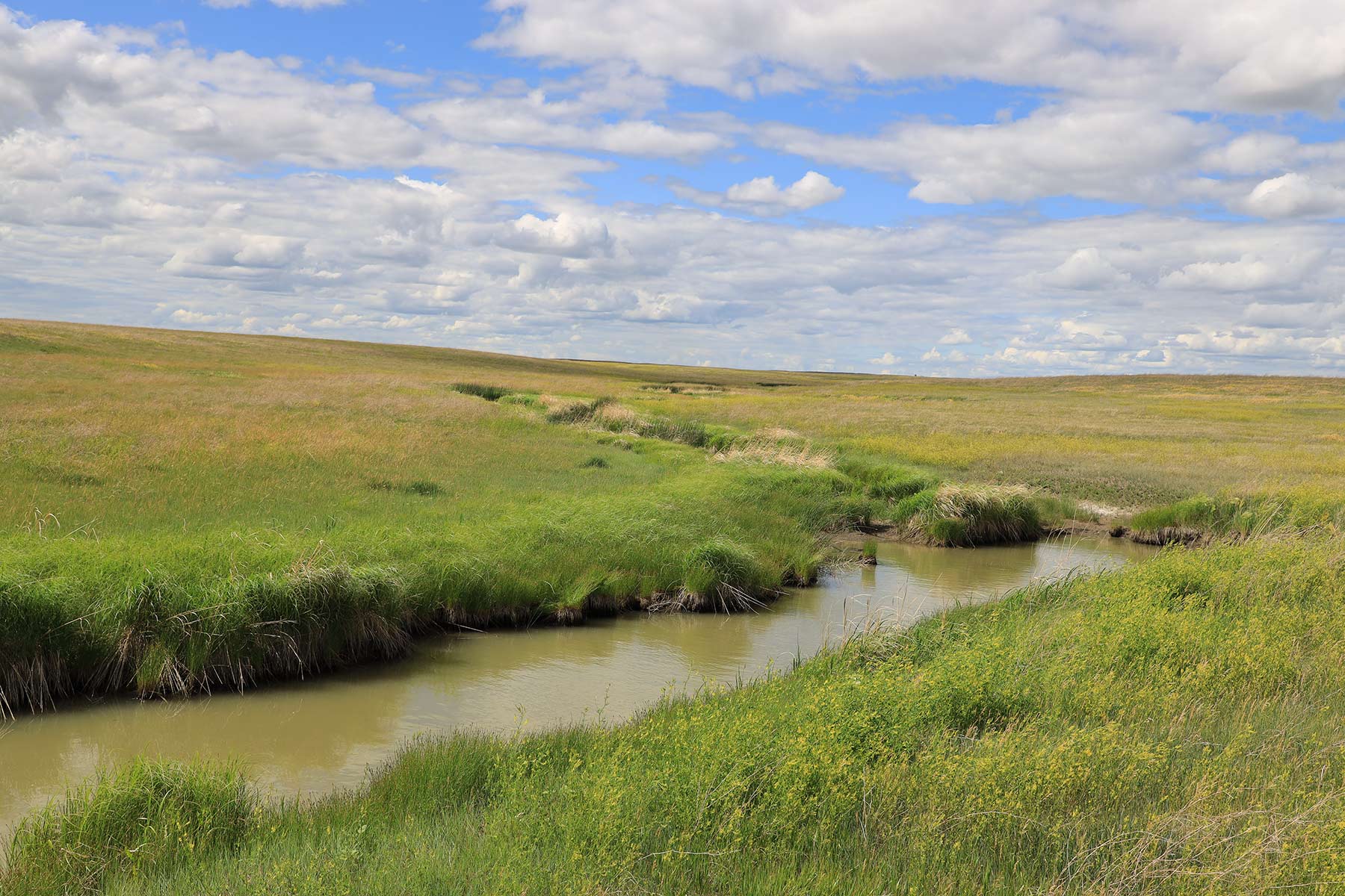 Bismarck Trail Ranch property picture 108 of 121