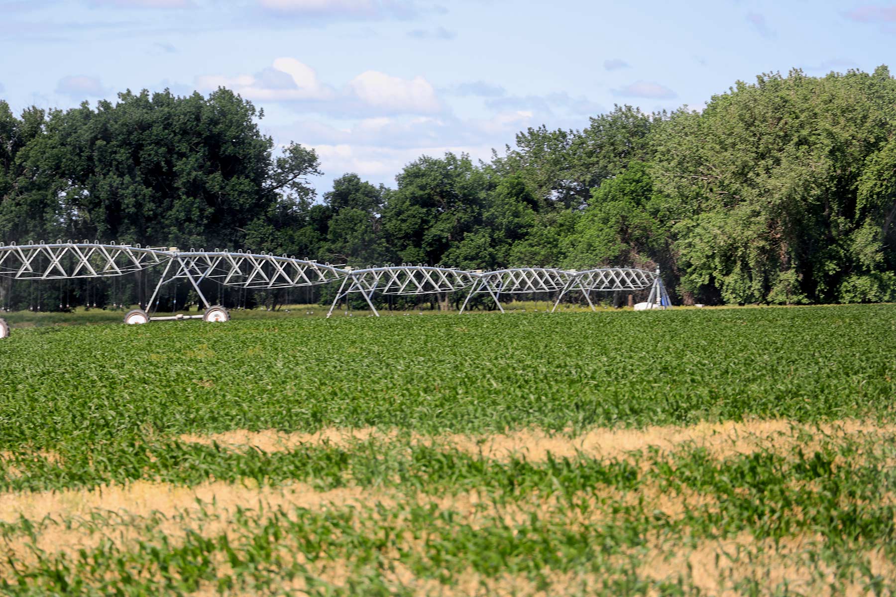 Bismarck Trail Ranch property picture 76 of 121