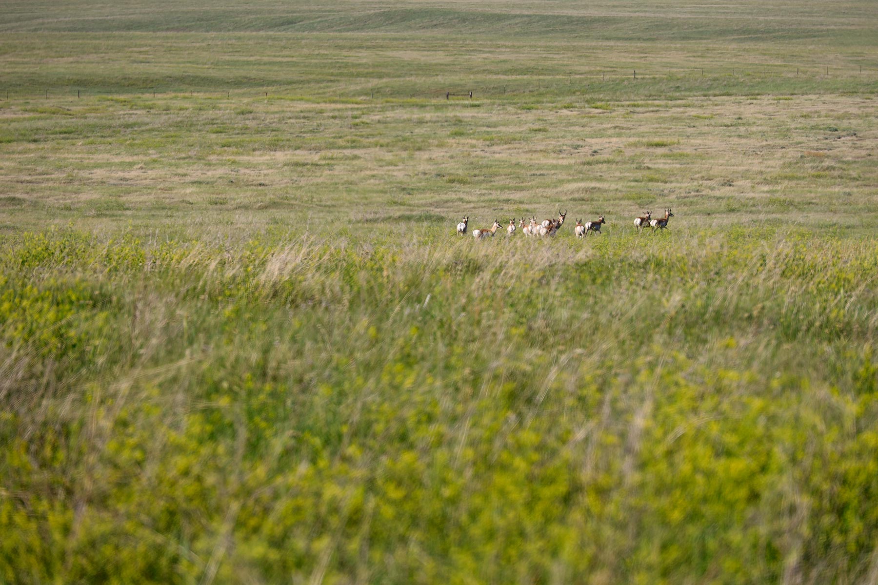 Bismarck Trail Ranch property picture 73 of 121