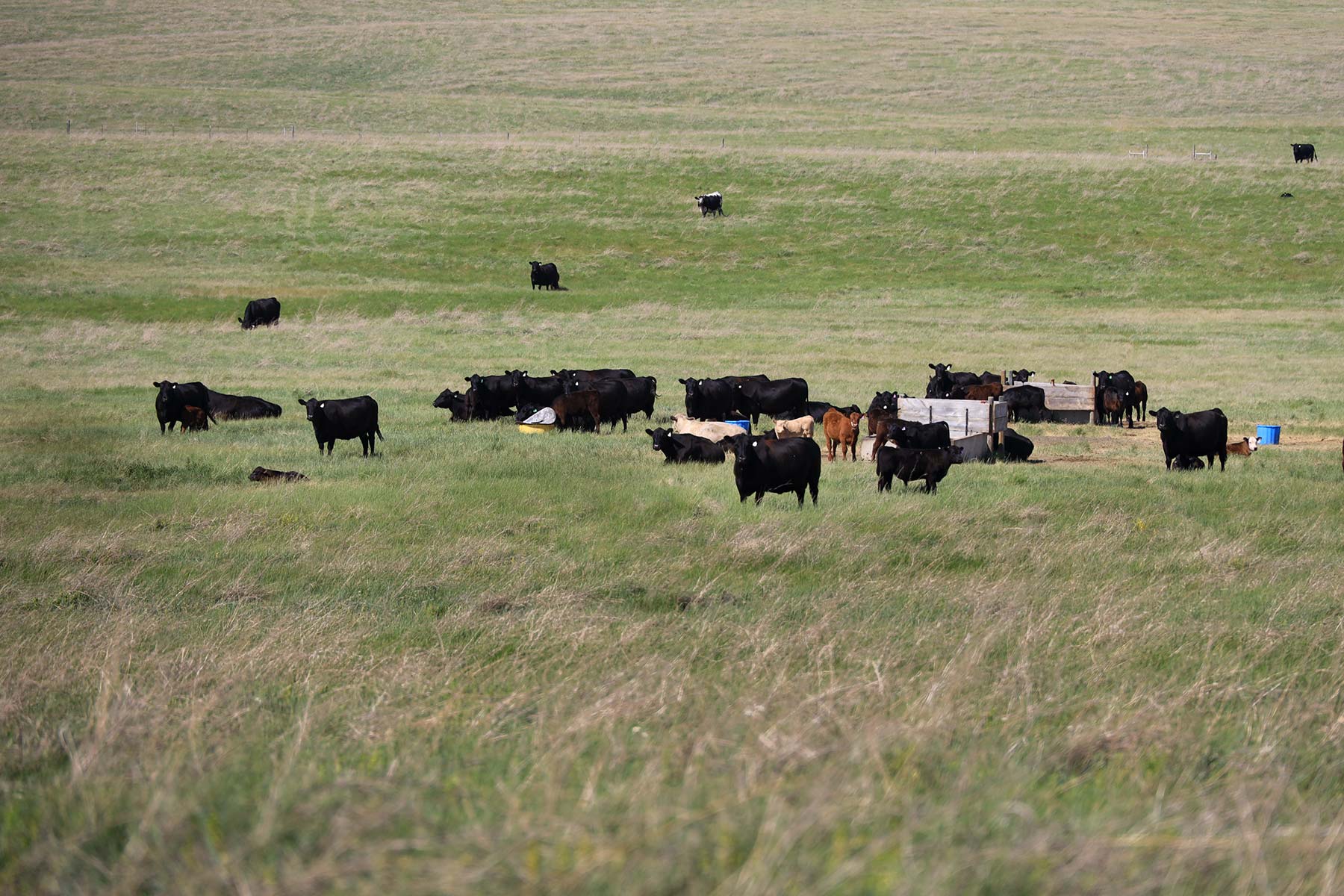 Bismarck Trail Ranch property picture 68 of 121