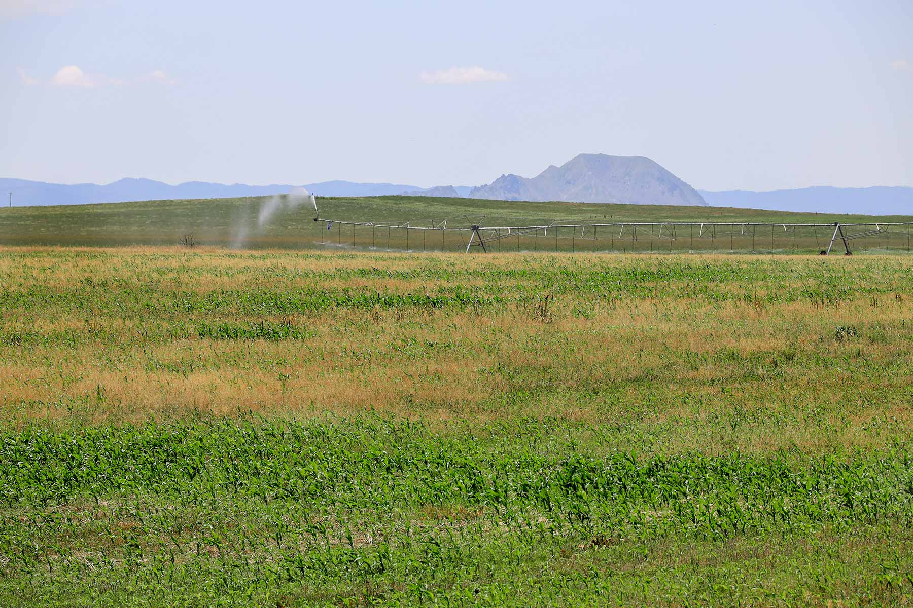Bismarck Trail Ranch property picture 45 of 121