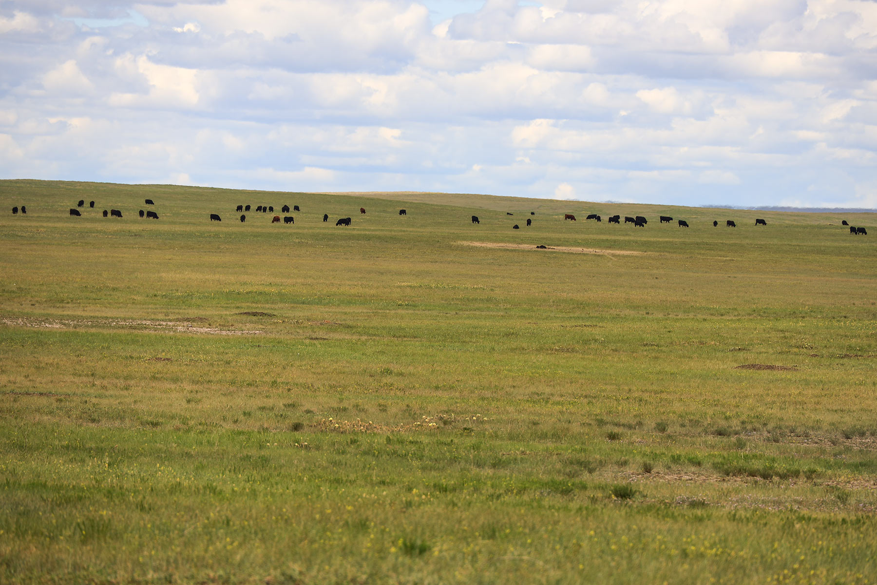 Bismarck Trail Ranch property picture 100 of 121
