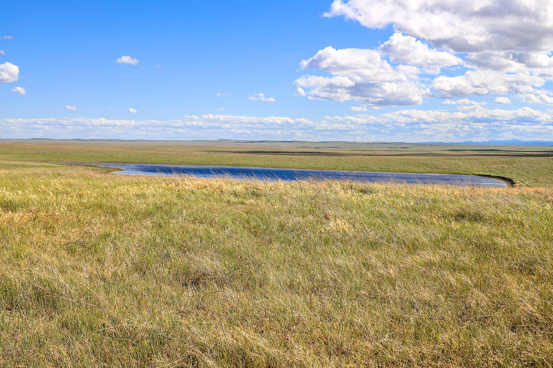 Bismarck Trail Ranch property picture 109 of 121