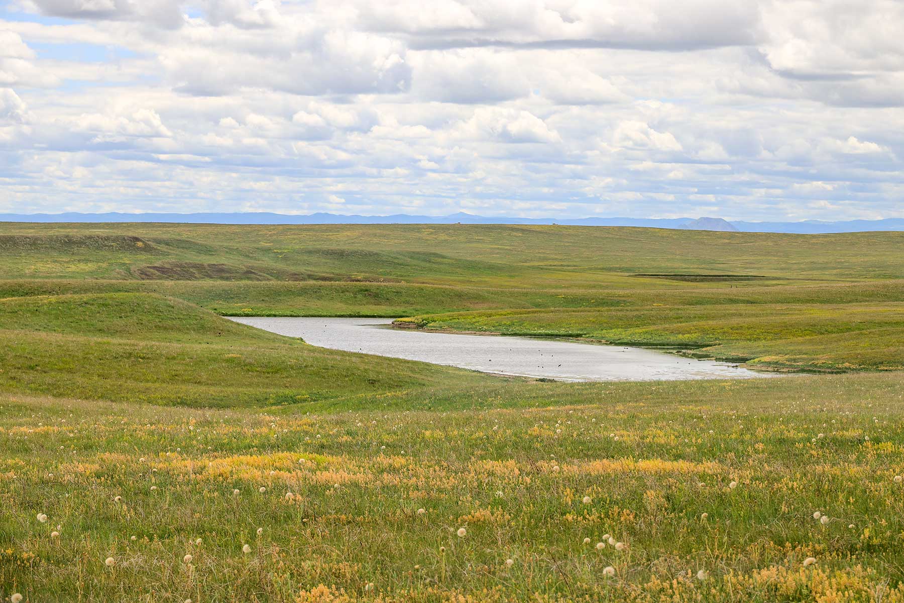 Bismarck Trail Ranch property picture 103 of 121