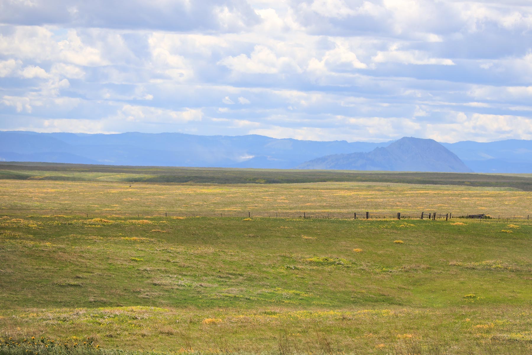 Bismarck Trail Ranch property picture 105 of 121