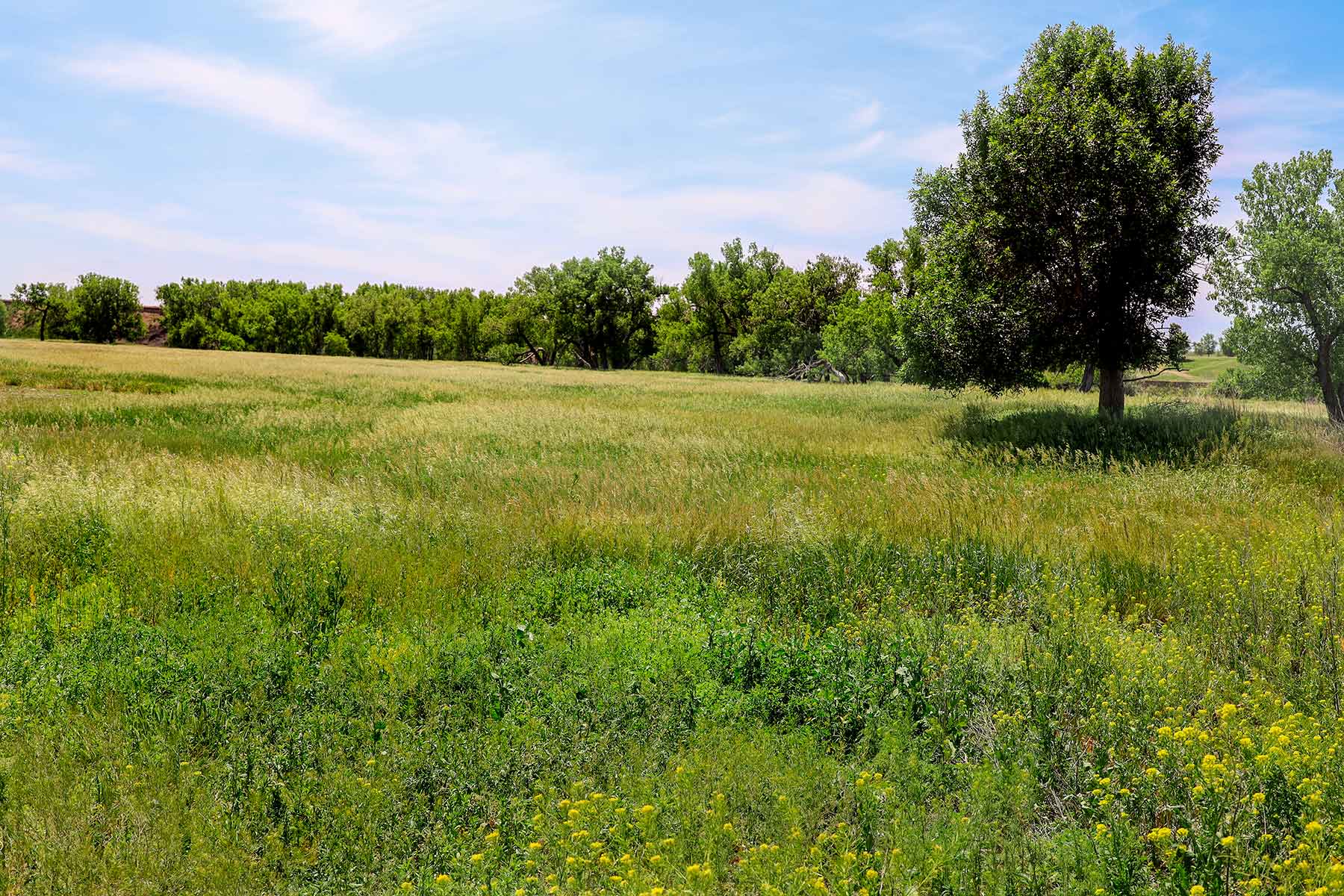 Bismarck Trail Ranch property picture 37 of 121
