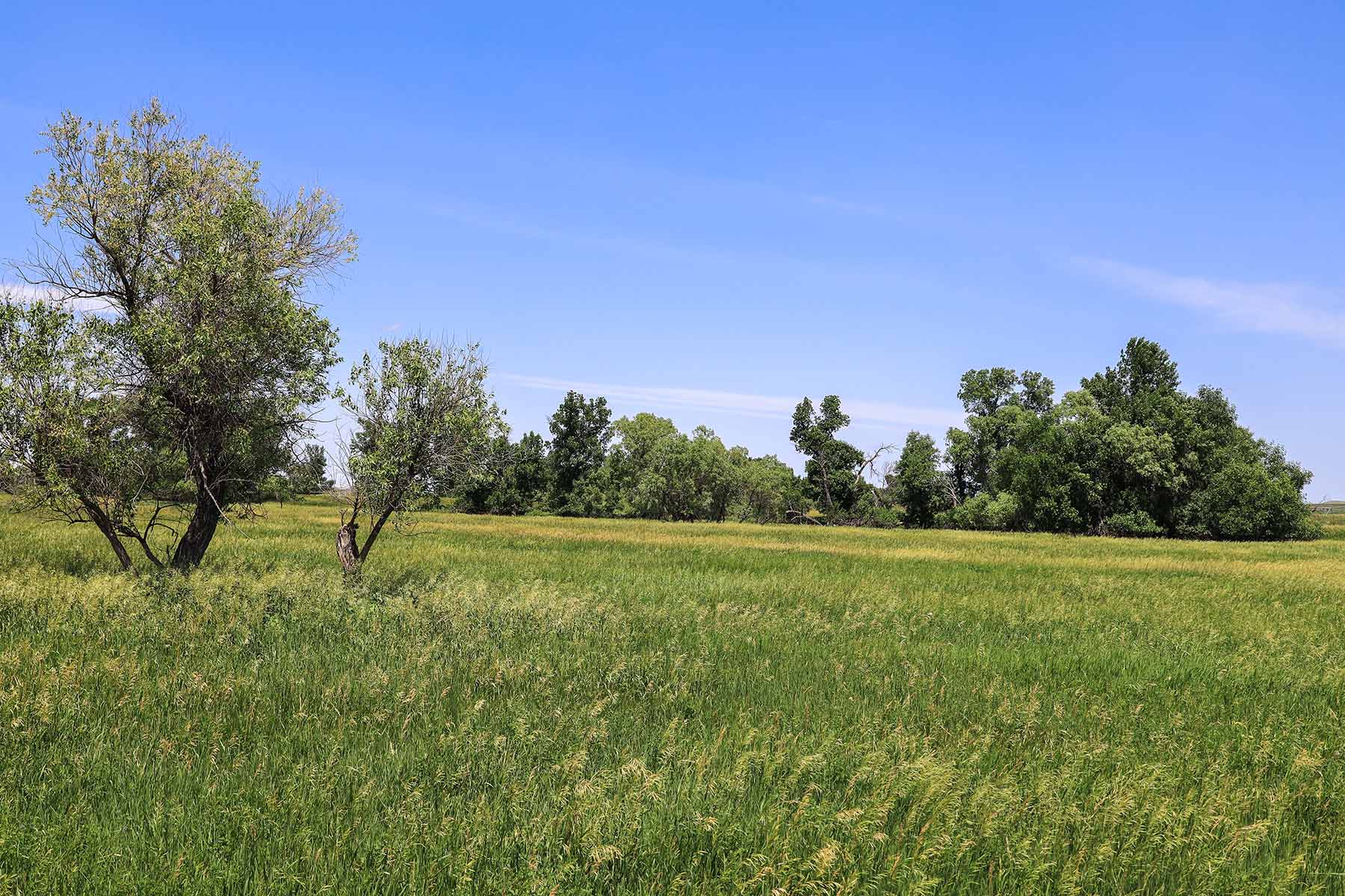Bismarck Trail Ranch property picture 35 of 121
