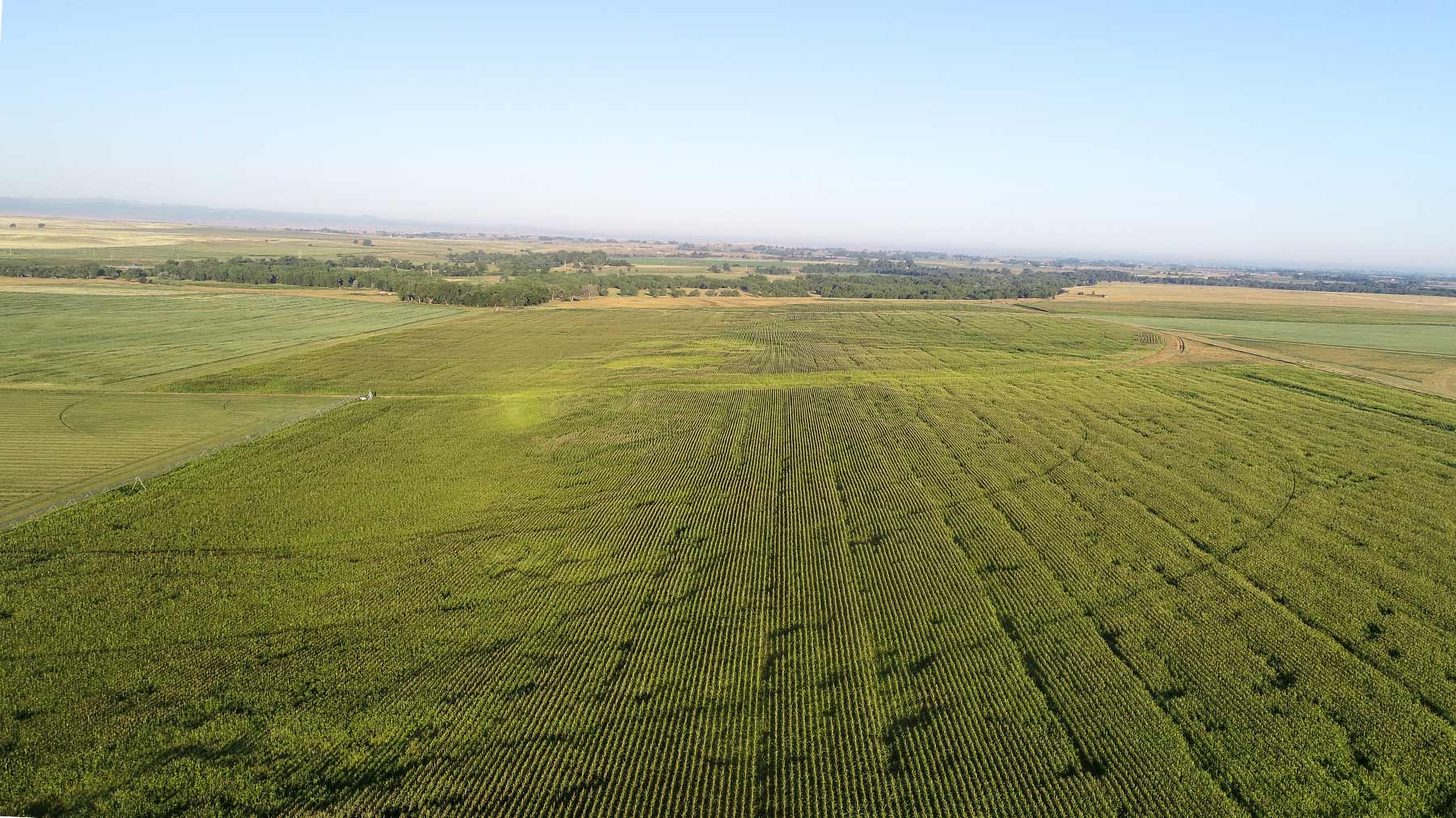 Bismarck Trail Ranch property picture 12 of 121