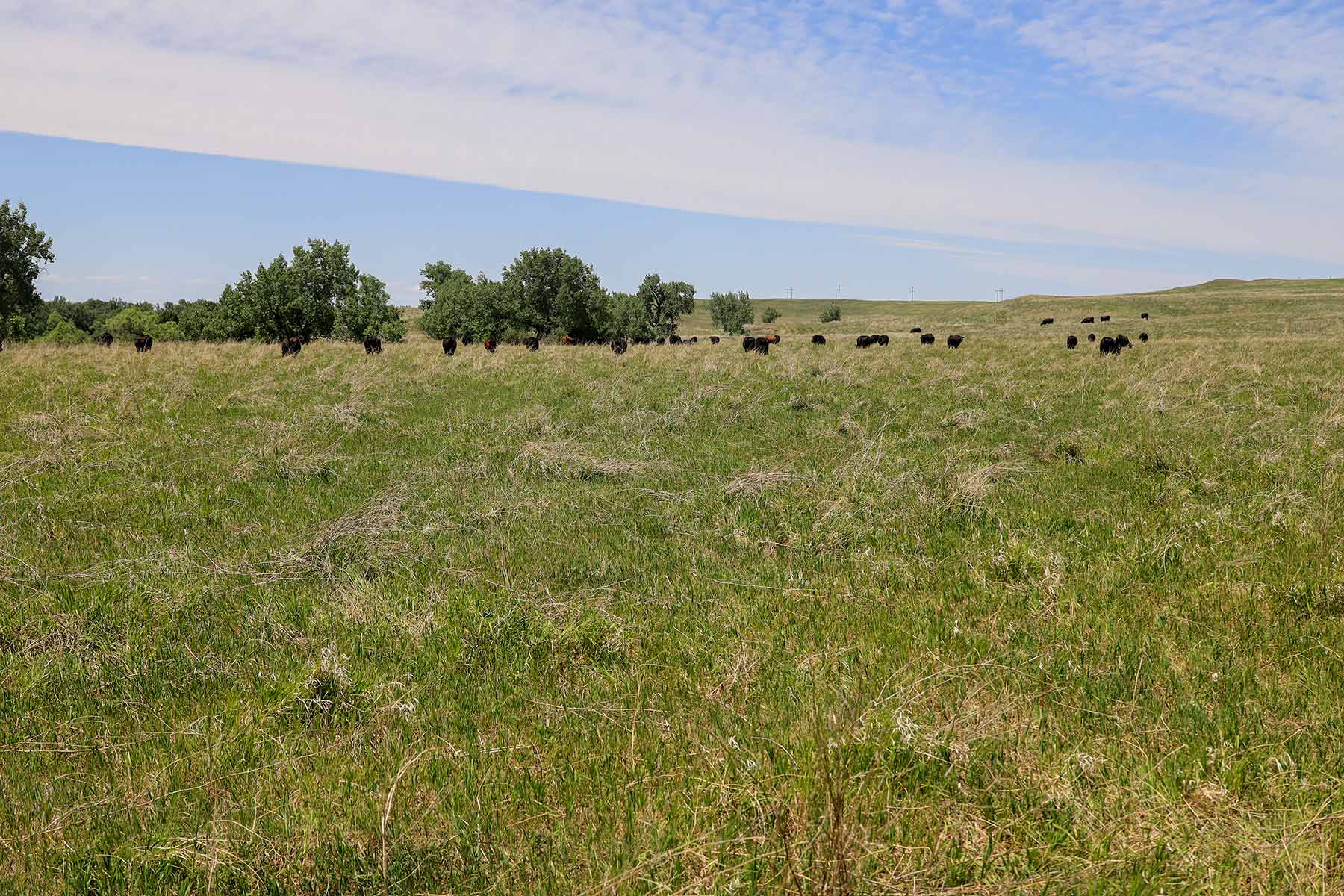 Bismarck Trail Ranch property picture 49 of 121