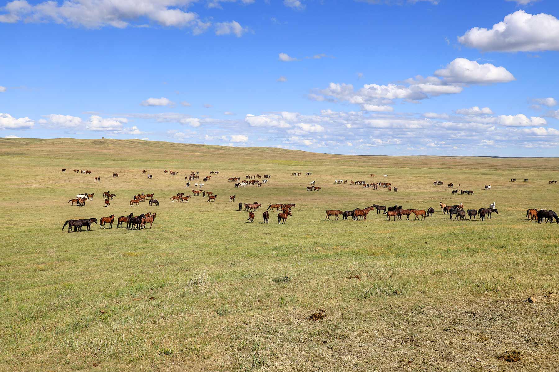 Bismarck Trail Ranch property picture 114 of 121