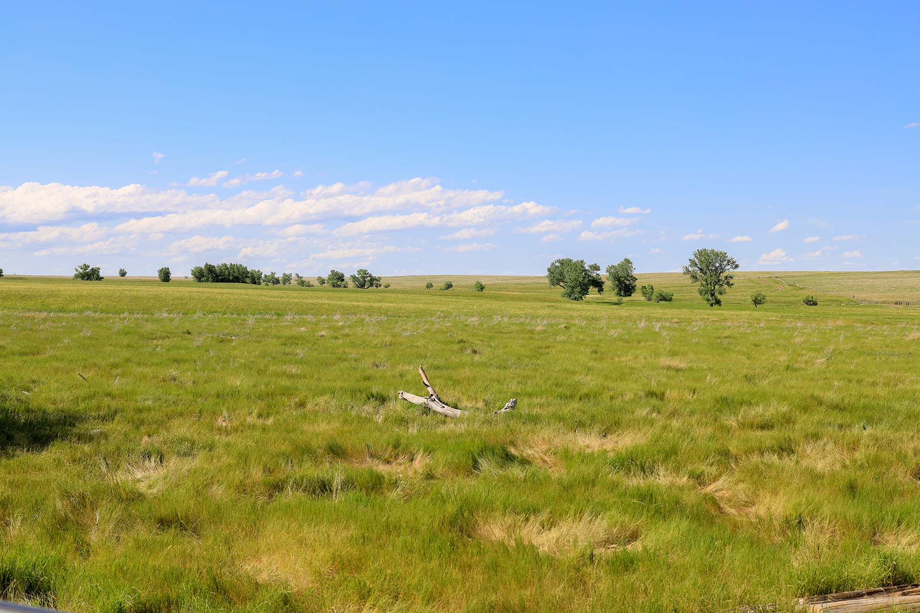 Bismarck Trail Ranch property picture 71 of 121