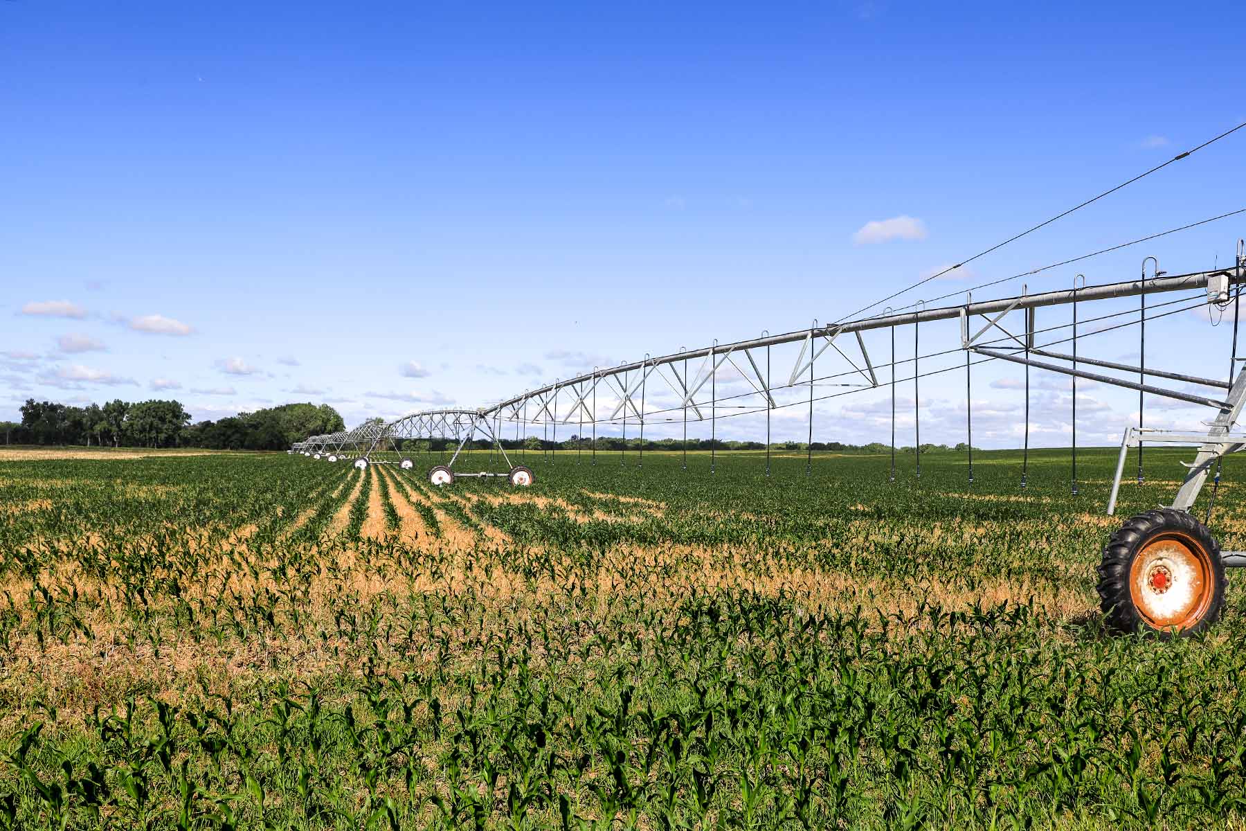 Bismarck Trail Ranch property picture 75 of 121