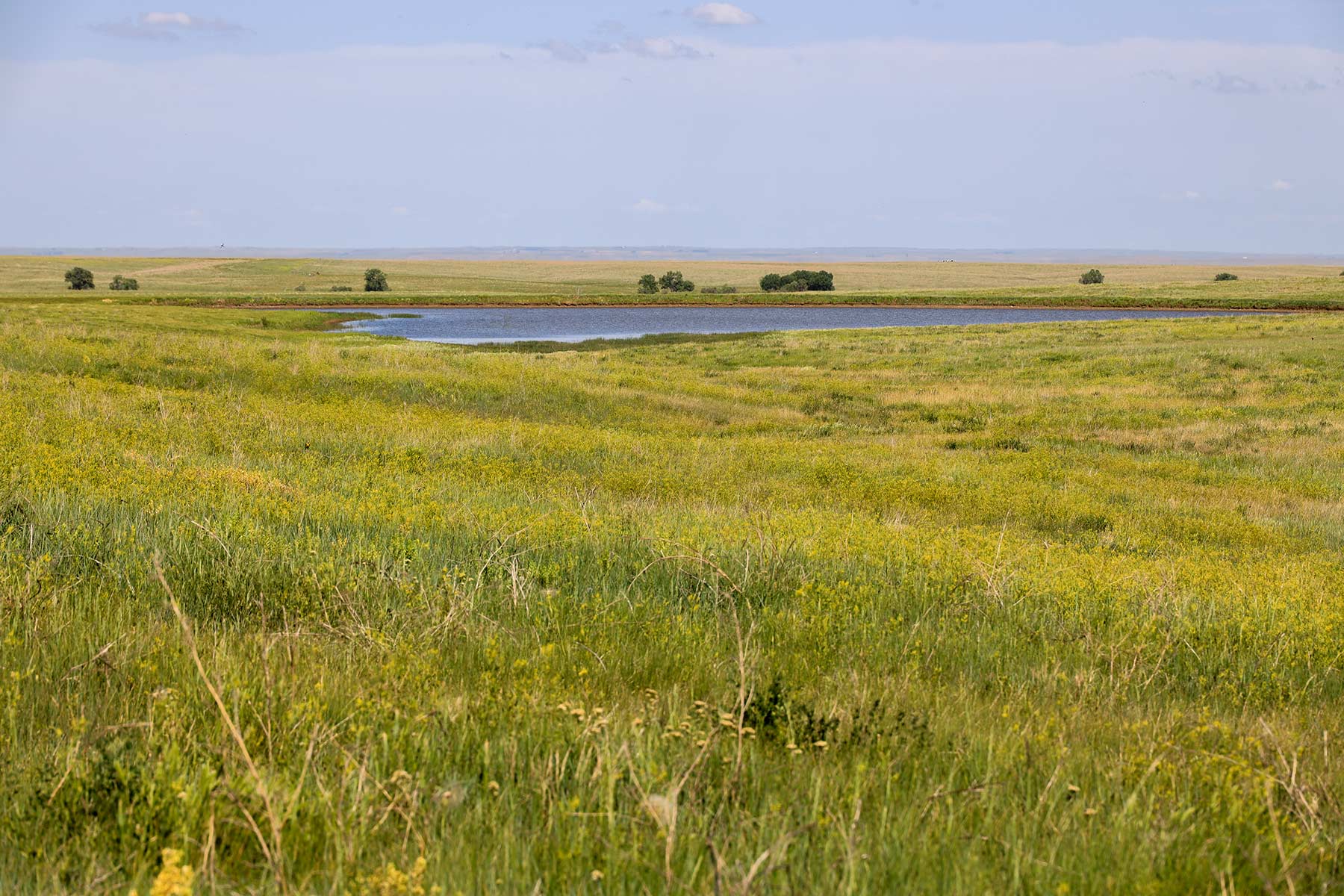 Bismarck Trail Ranch property picture 67 of 121