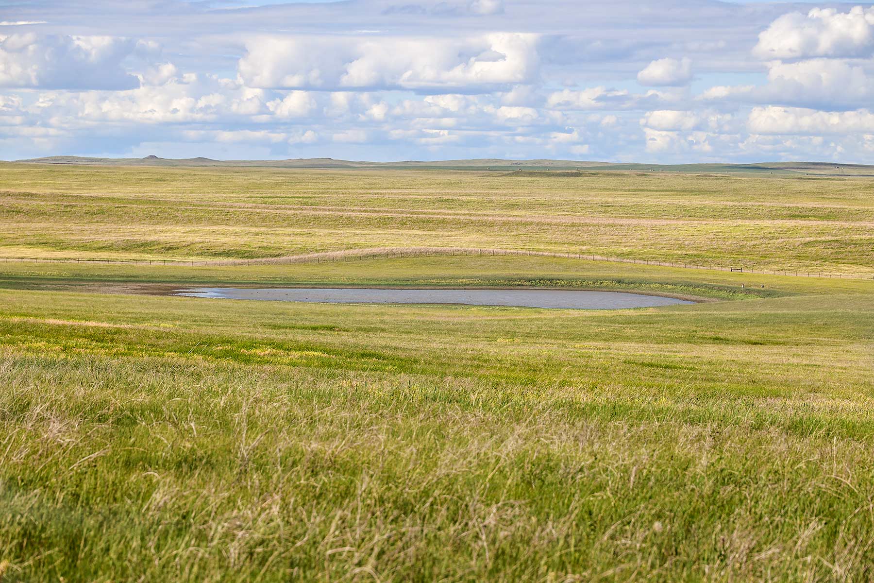 Bismarck Trail Ranch property picture 120 of 121