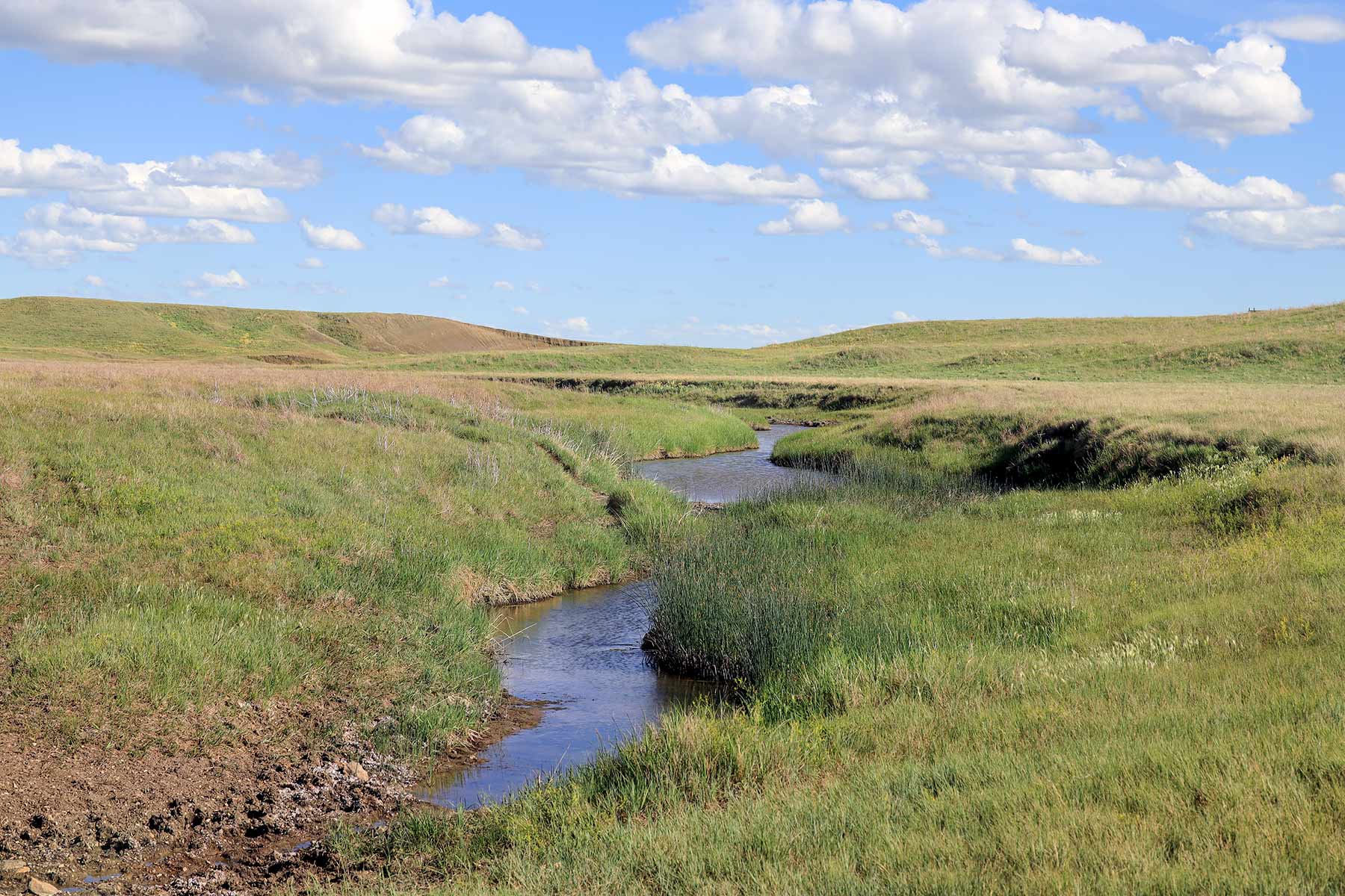 Bismarck Trail Ranch property picture 115 of 121