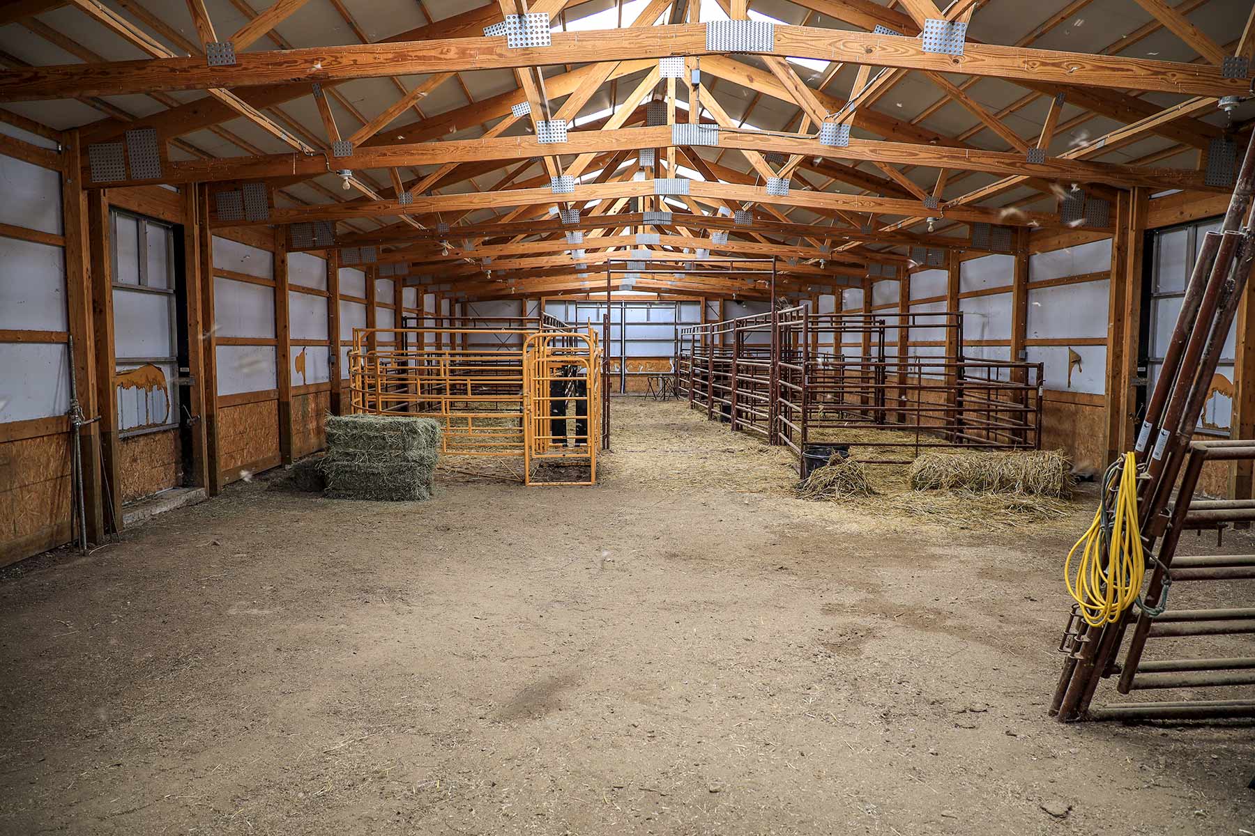 Bismarck Trail Ranch property picture 56 of 121