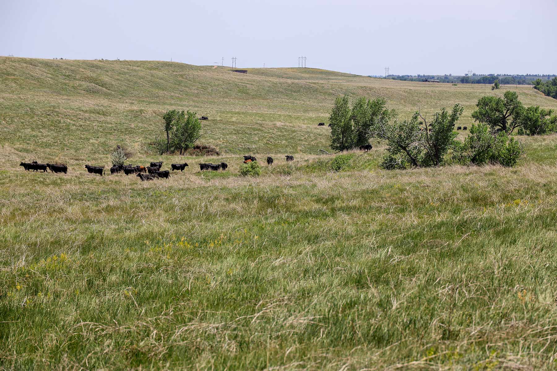Bismarck Trail Ranch property picture 52 of 121