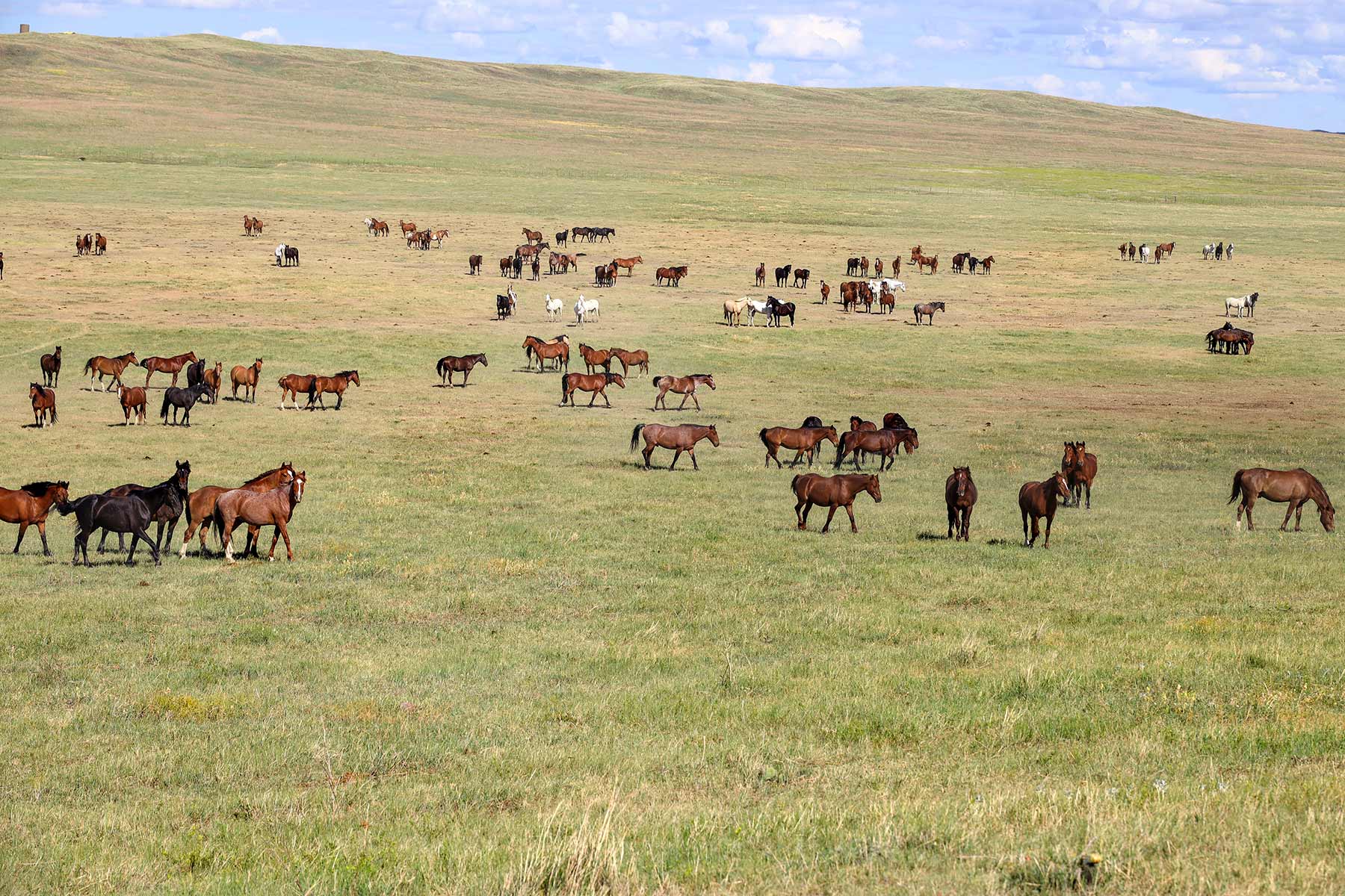 Bismarck Trail Ranch property picture 113 of 121