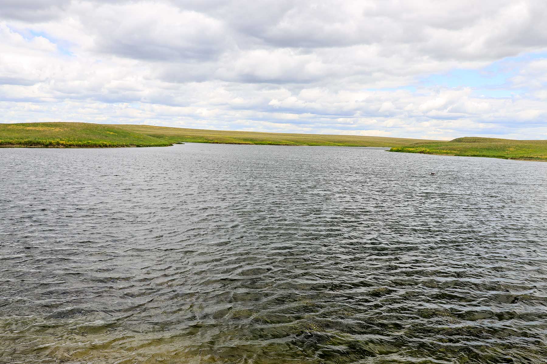 Bismarck Trail Ranch property picture 7 of 121