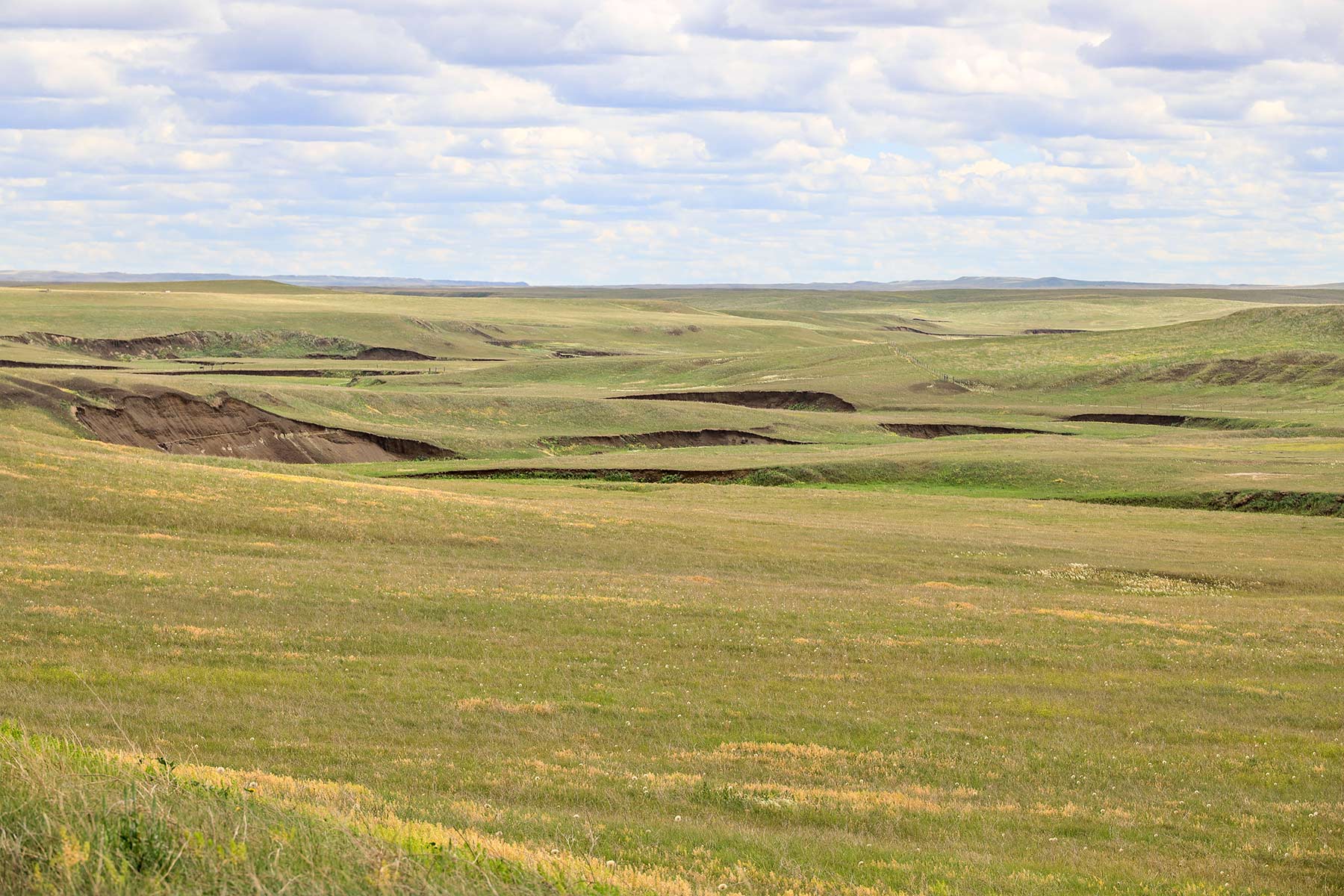 Bismarck Trail Ranch property picture 104 of 121