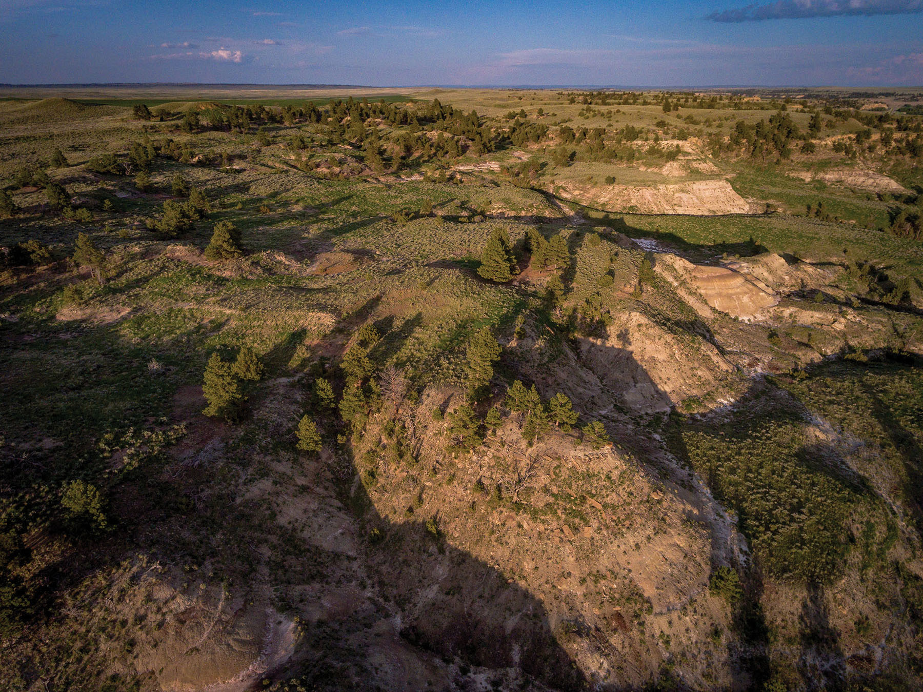 Careless Creek Ranch property picture 13 of 45