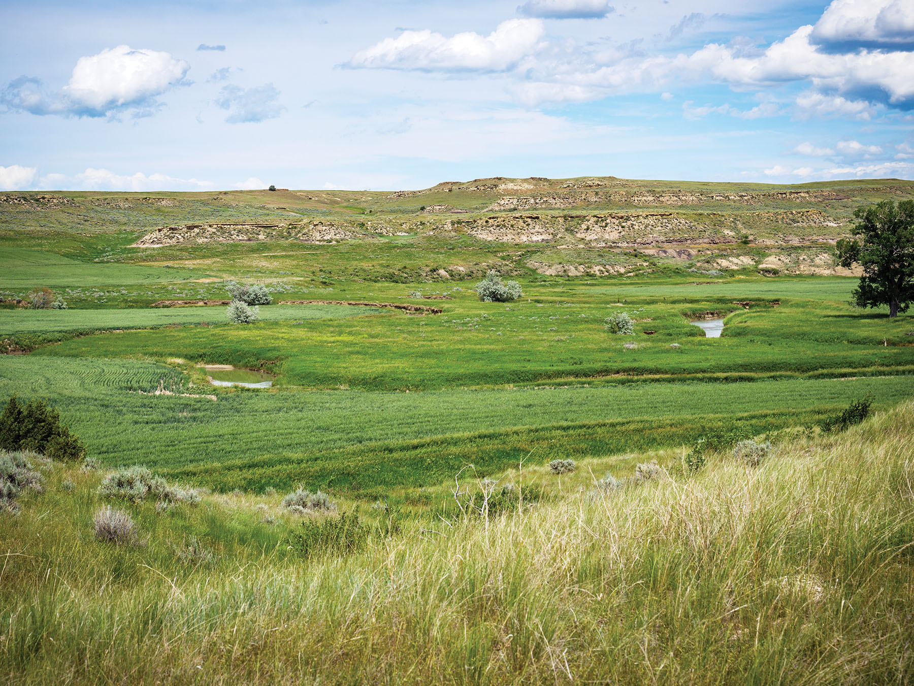 Careless Creek Ranch property picture 24 of 45