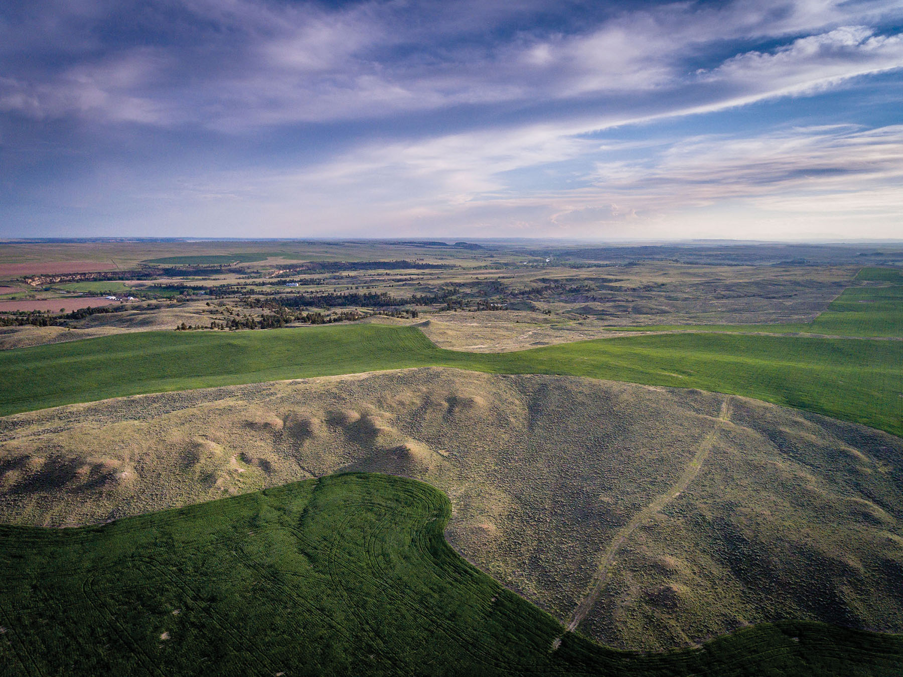 Careless Creek Ranch property picture 12 of 45