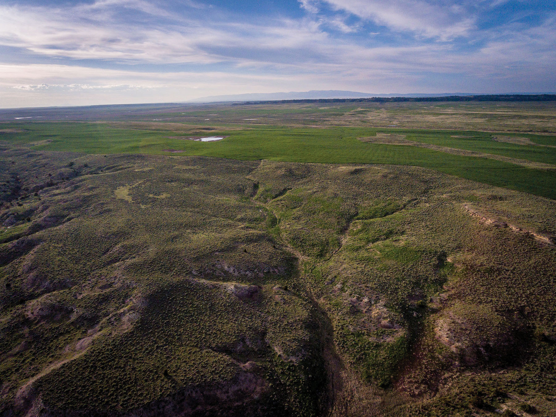Careless Creek Ranch property picture 2 of 45