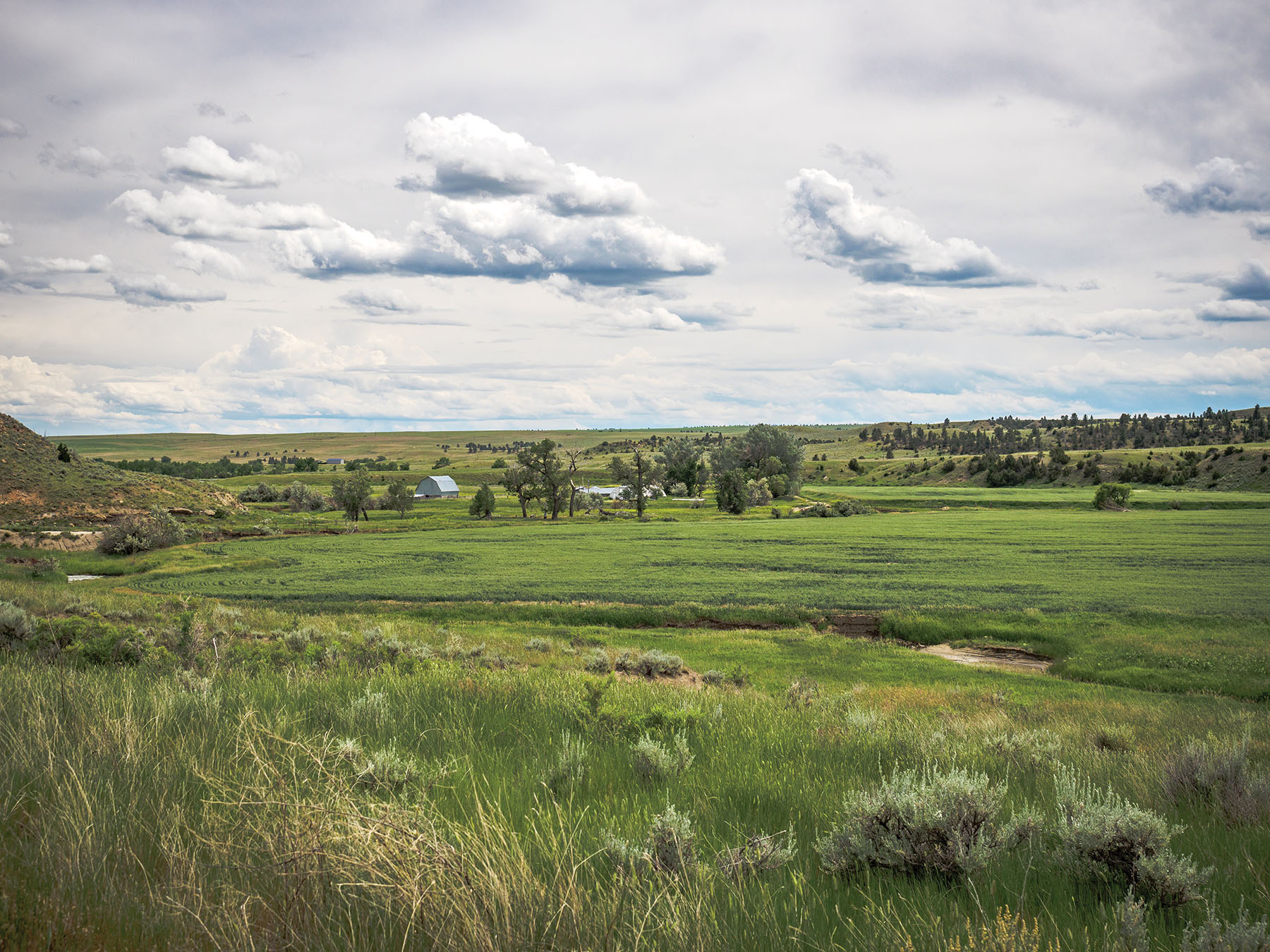 Careless Creek Ranch property picture 6 of 45