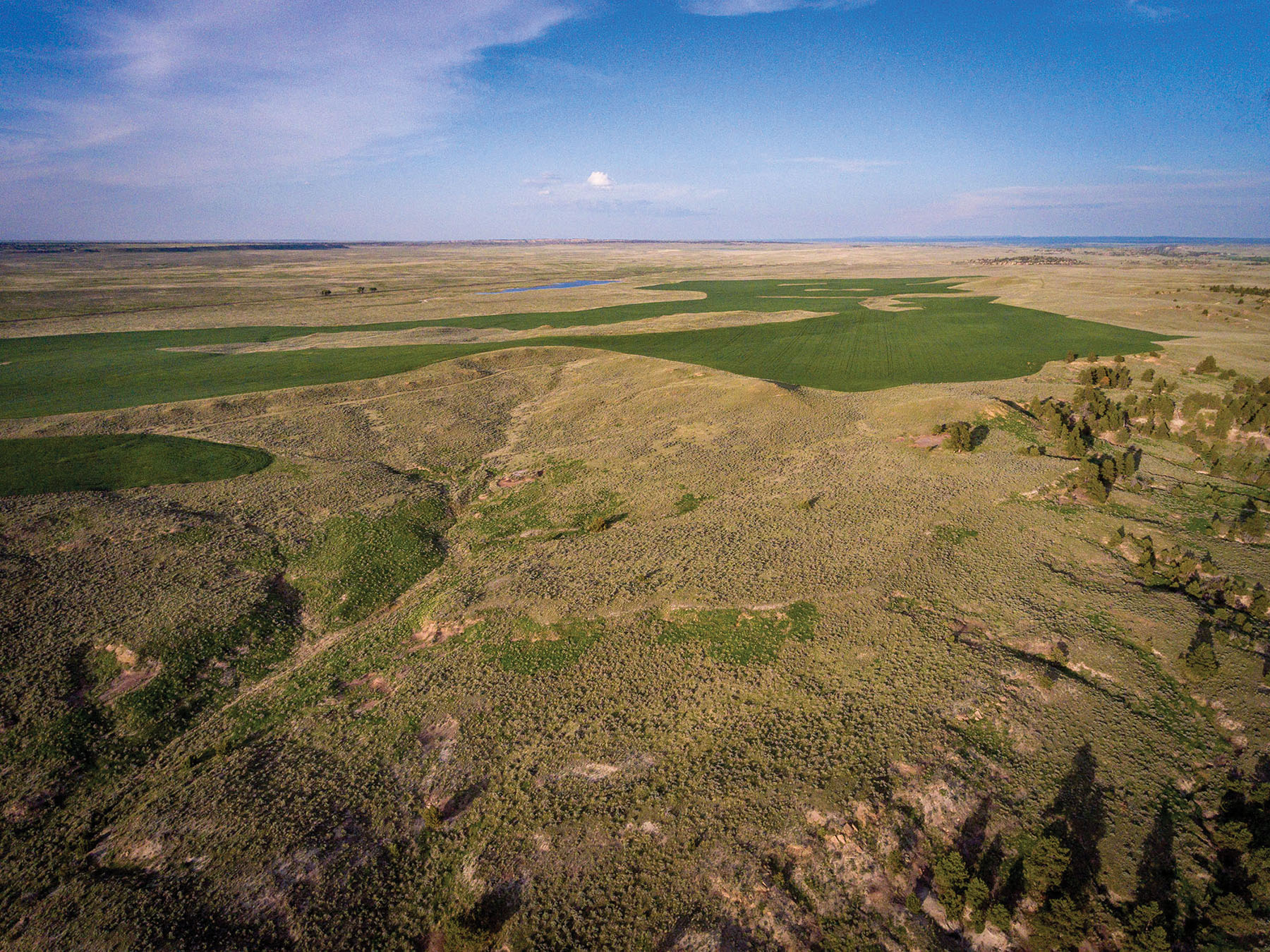 Careless Creek Ranch property picture 4 of 45